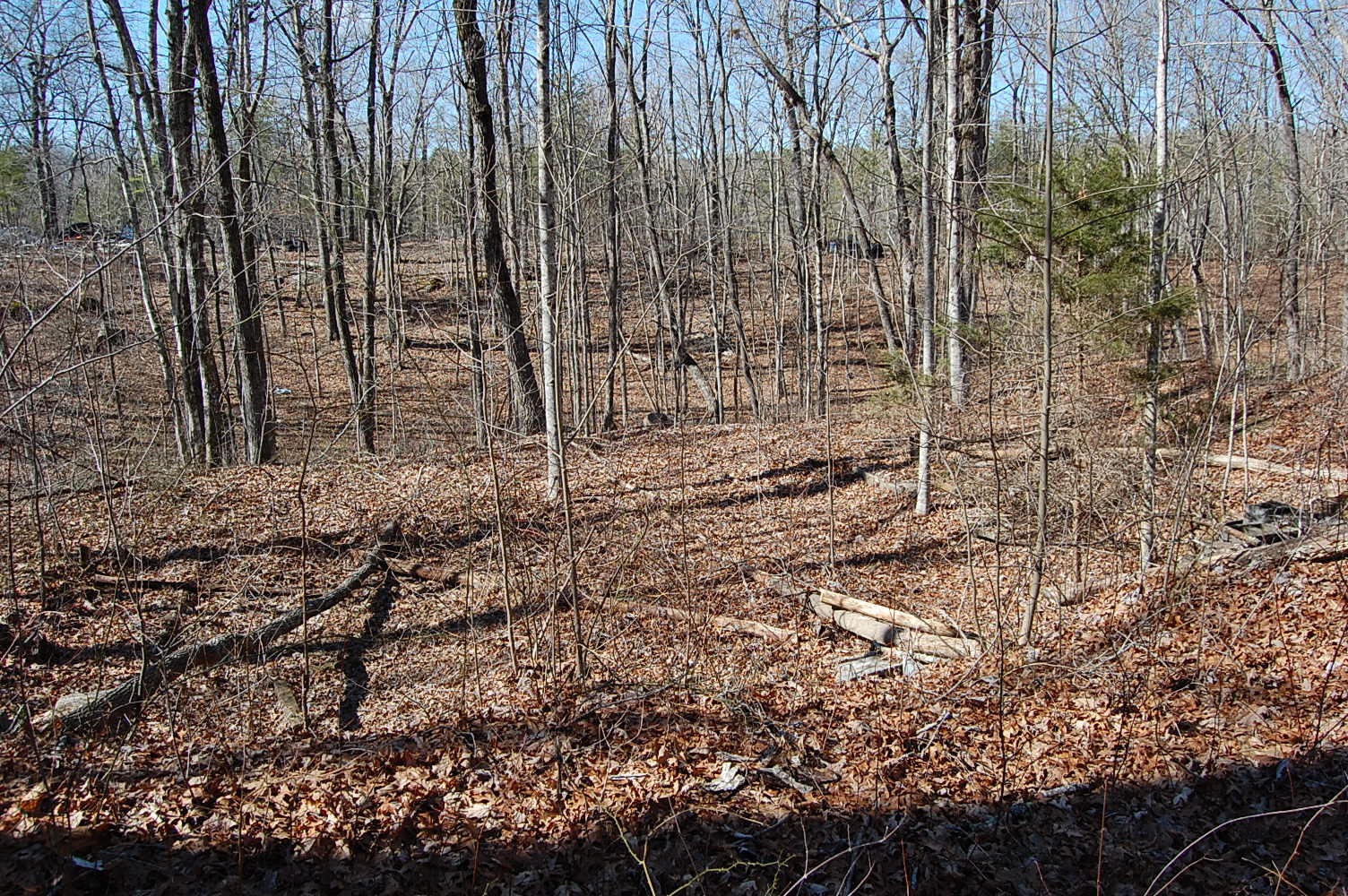2 Ski View Drive Property Photo 5