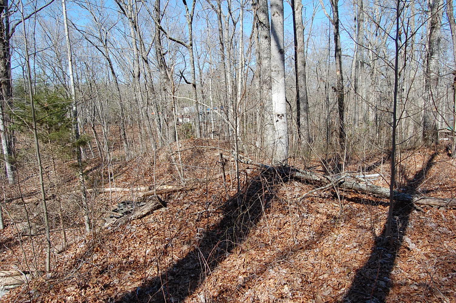 2 Ski View Drive Property Photo 6