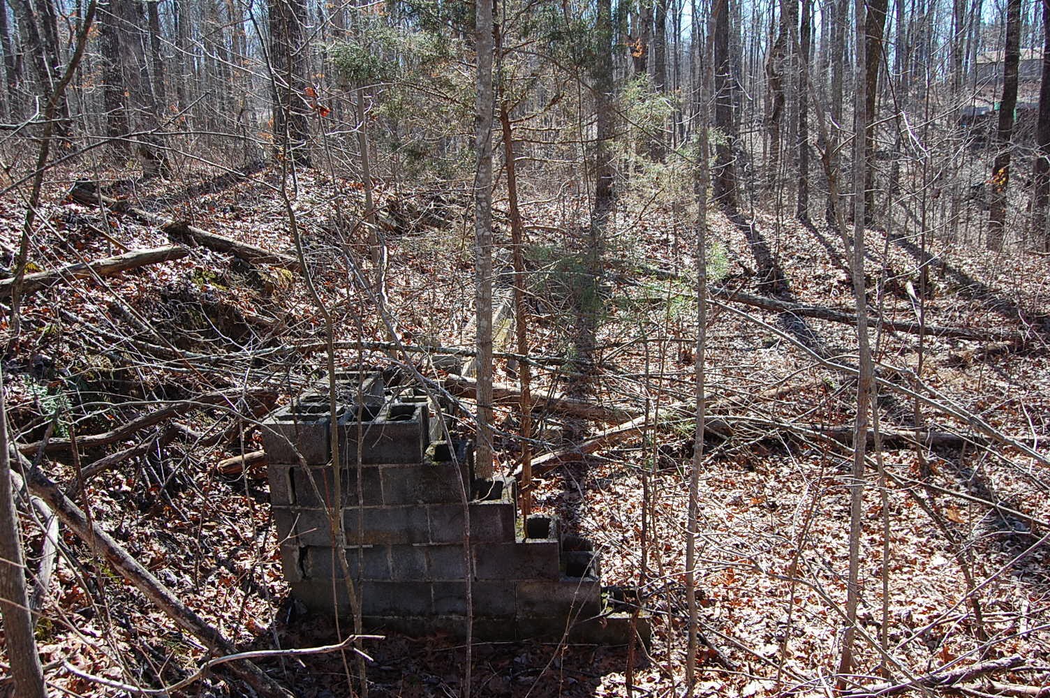 2 Ski View Drive Property Photo 8