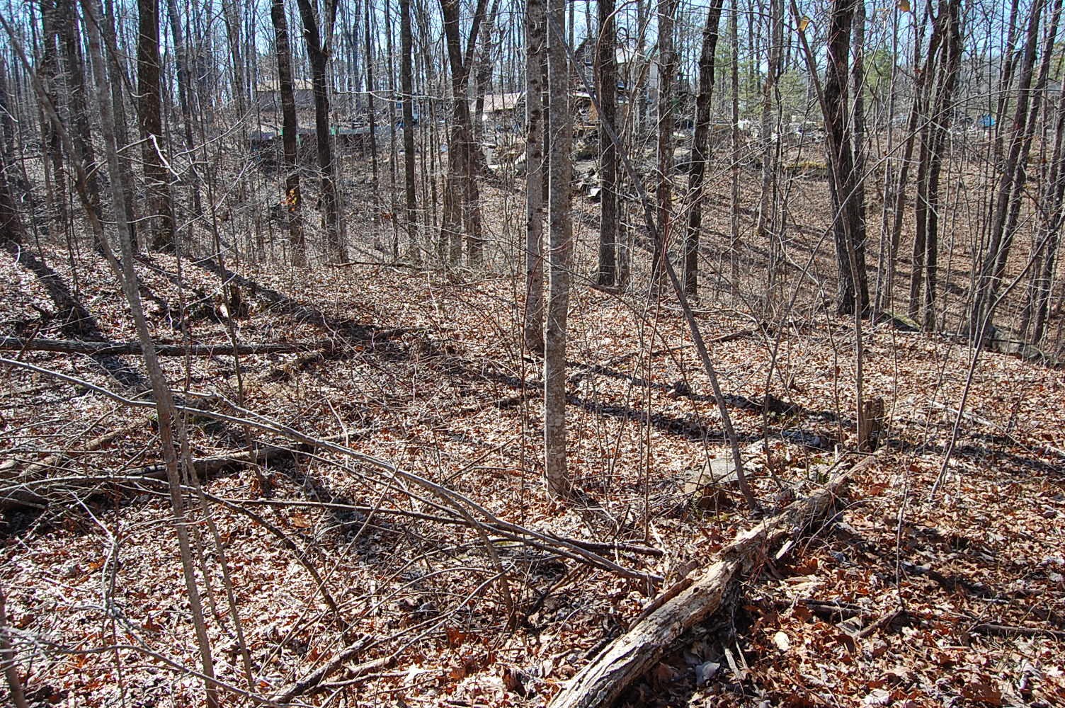 2 Ski View Drive Property Photo 9