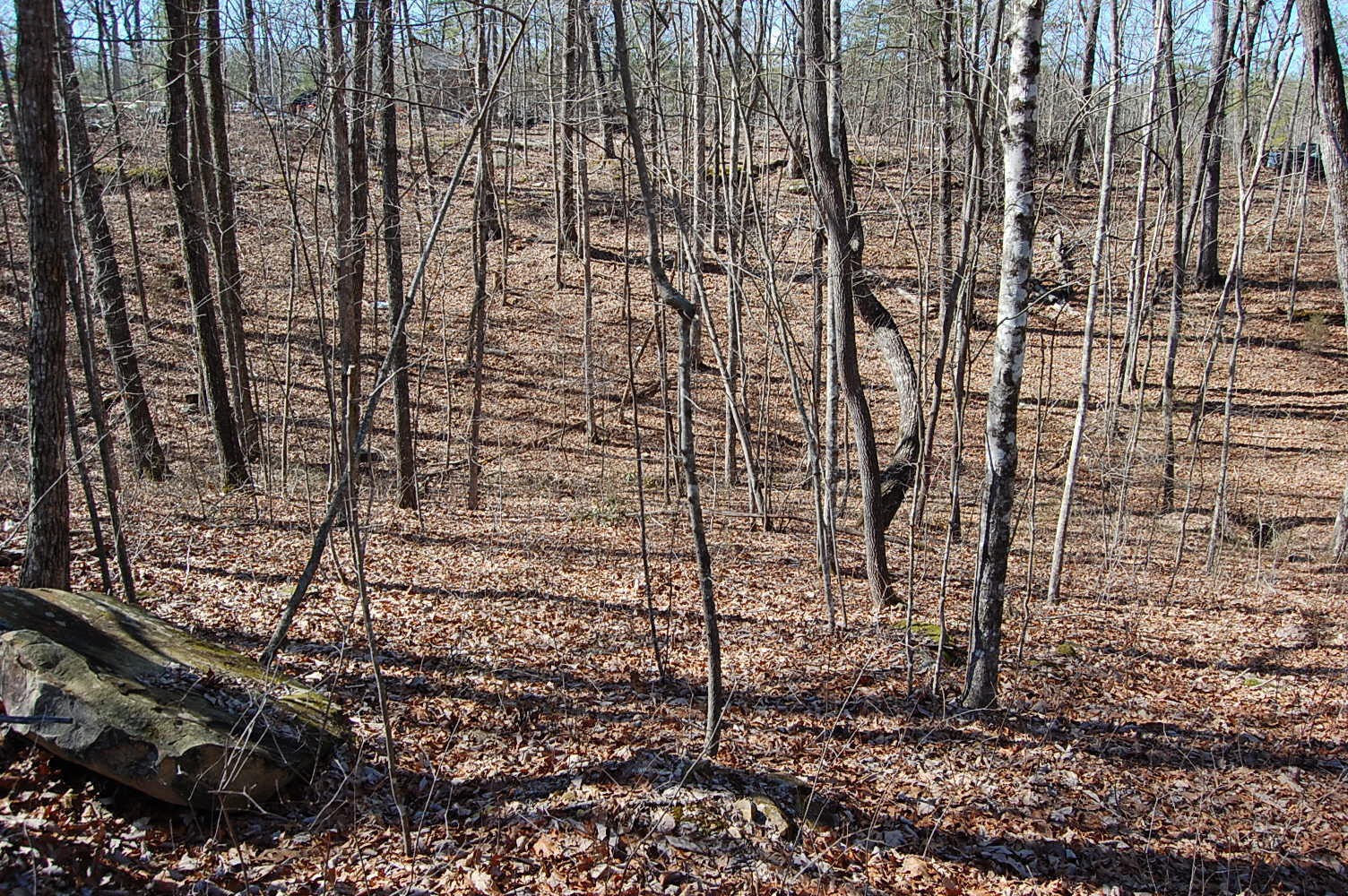 2 Ski View Drive Property Photo 11