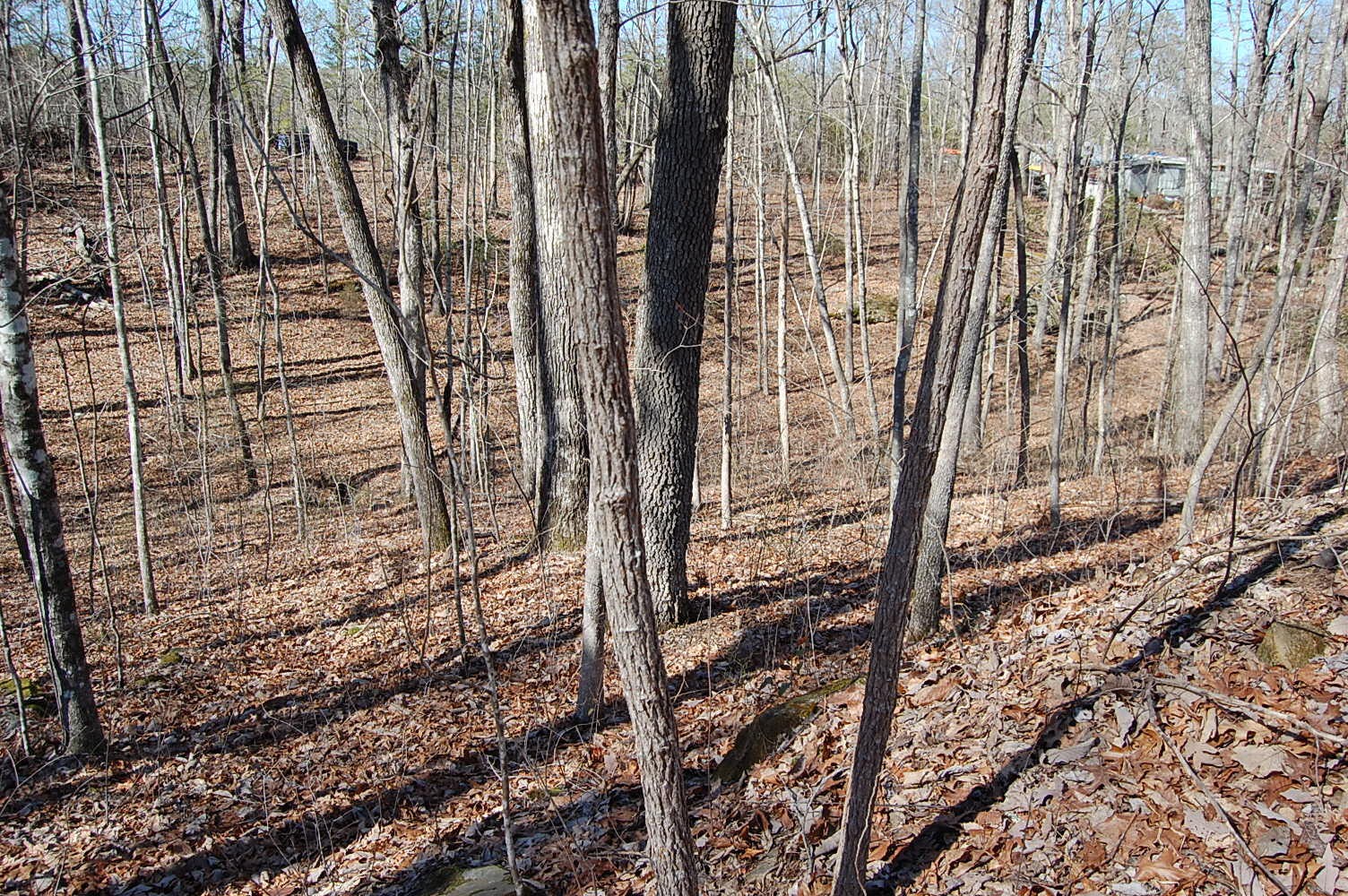 2 Ski View Drive Property Photo 12