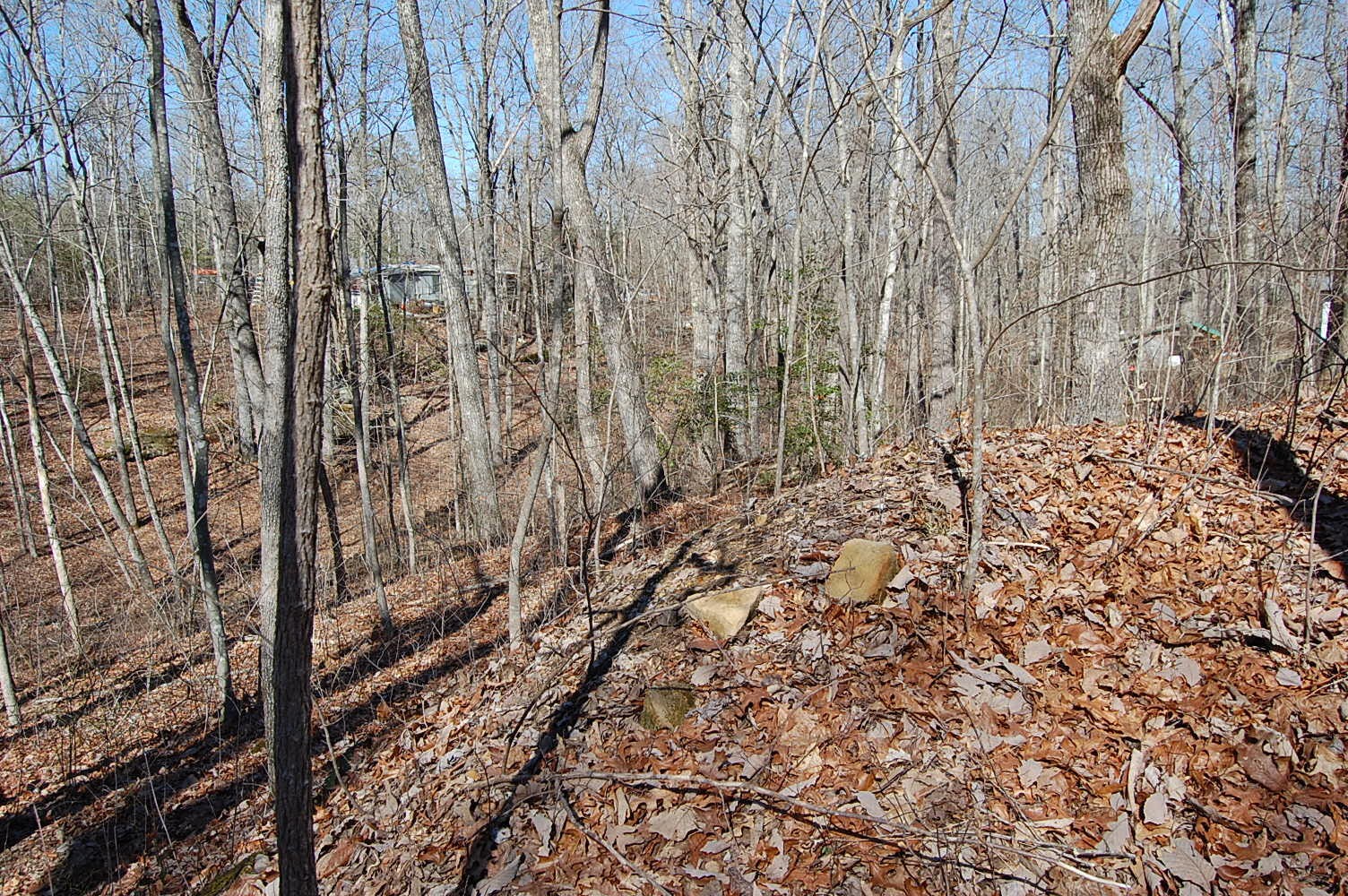 2 Ski View Drive Property Photo 13