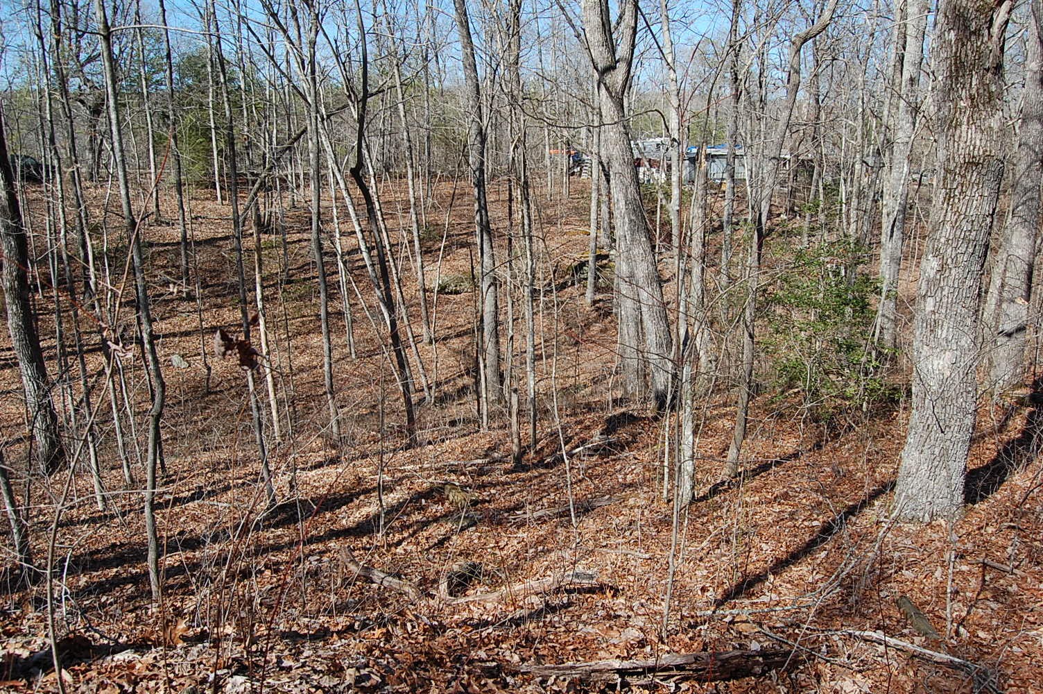 2 Ski View Drive Property Photo 14