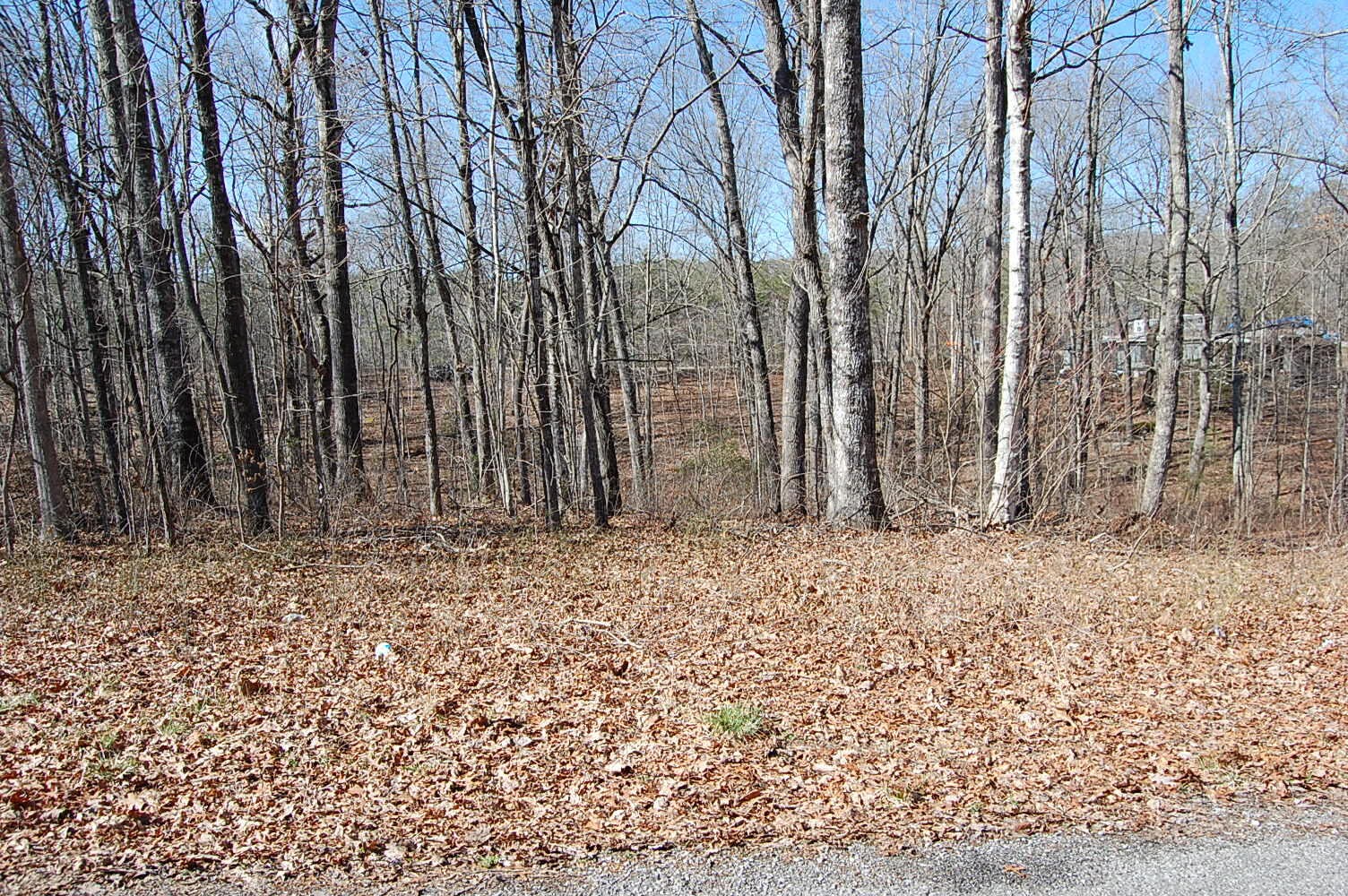 2 Ski View Drive Property Photo 21