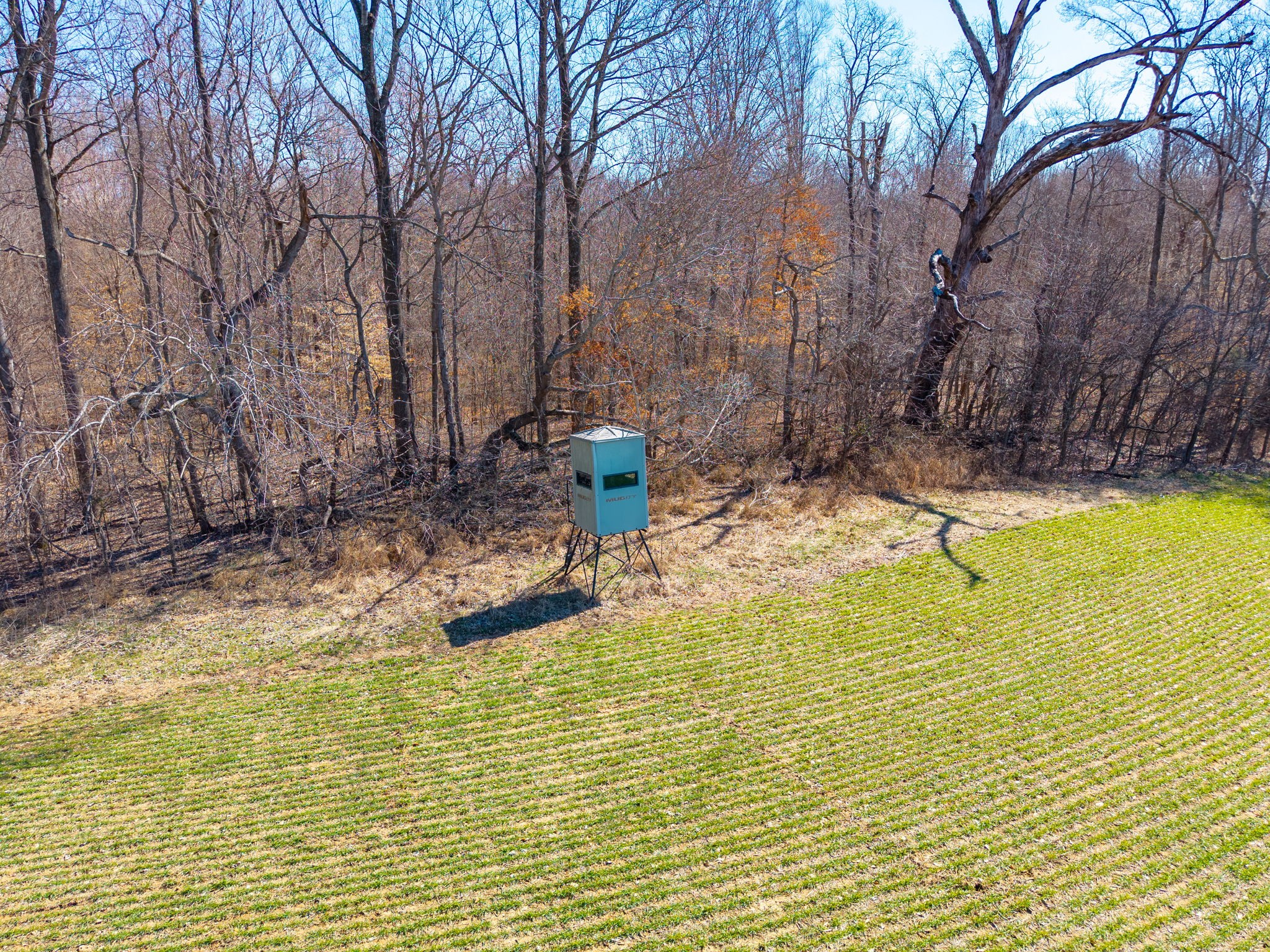 943 Smith Grove Rd Property Photo 6