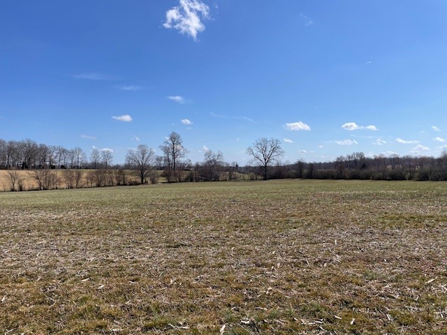 2082 Smith Town Rd Property Photo 2