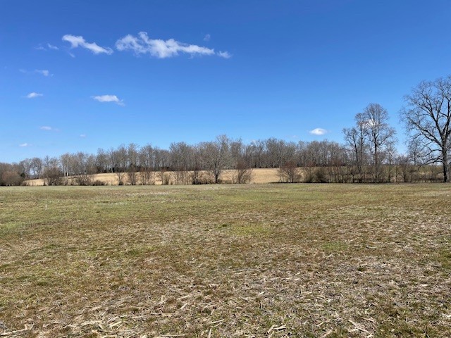 2082 Smith Town Rd Property Photo 3