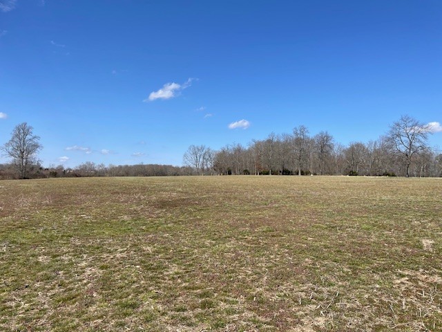 2082 Smith Town Rd Property Photo 1