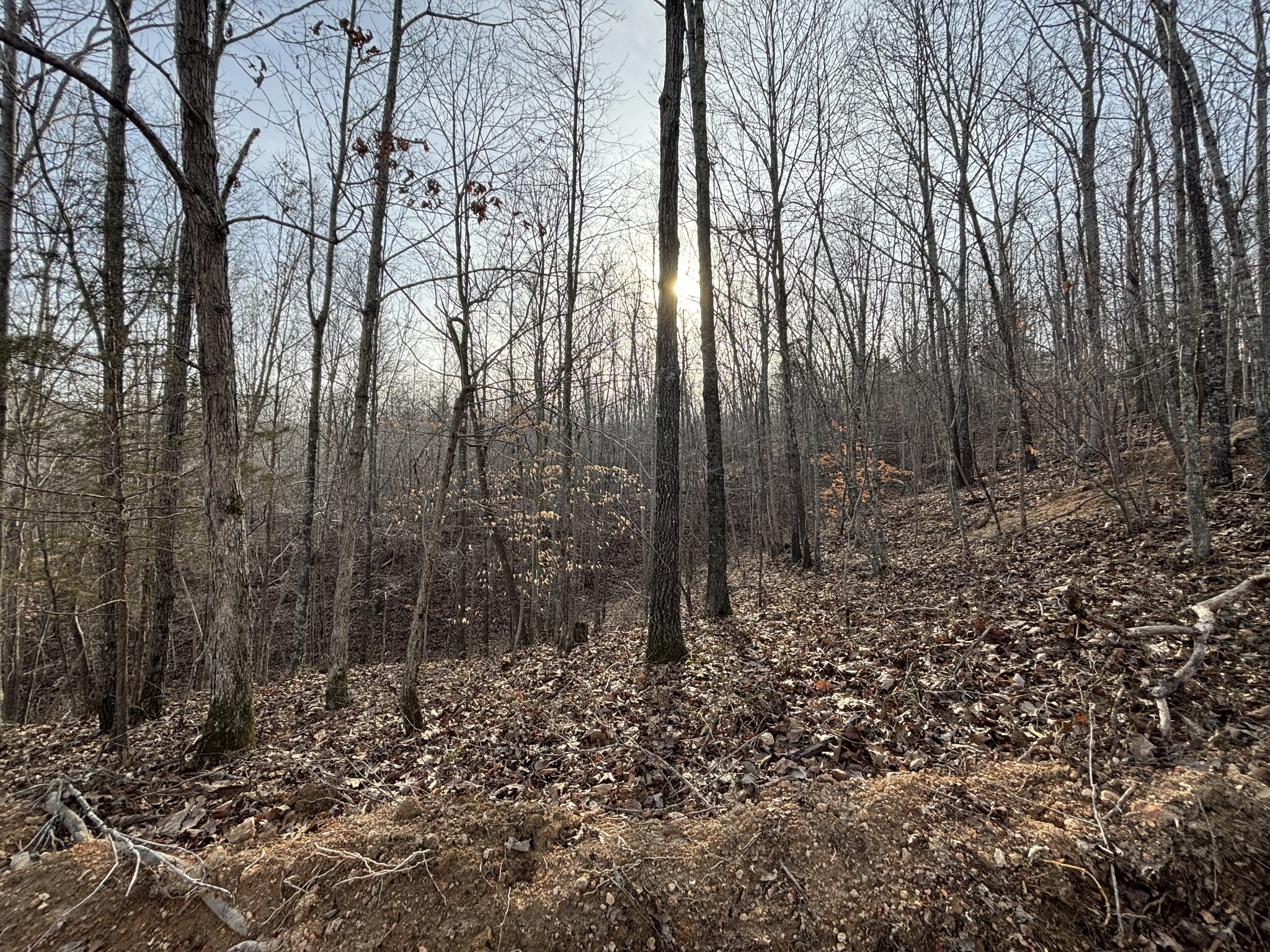 4073 Old Hohenwald Rd Property Photo 2