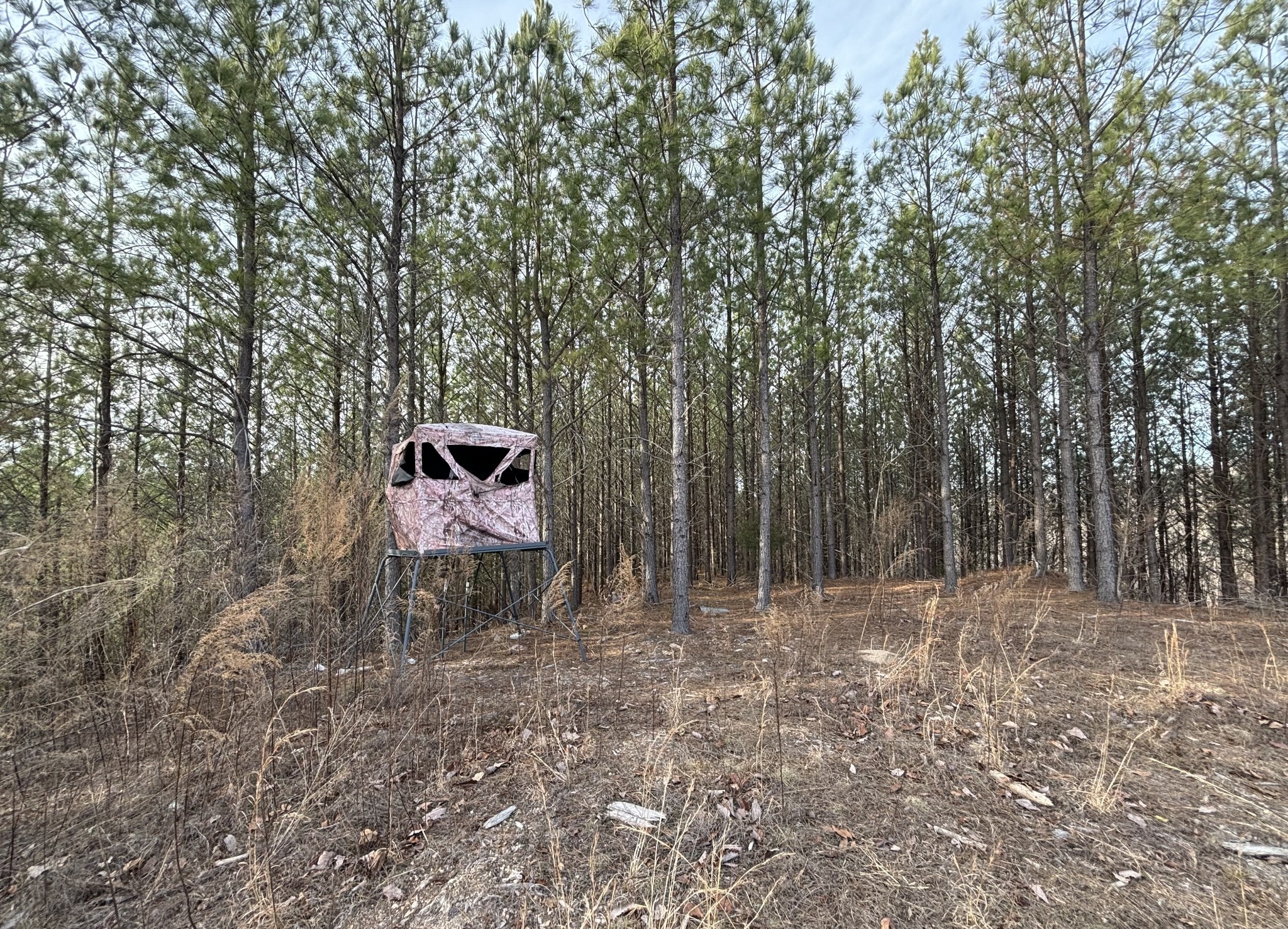 4073 Old Hohenwald Rd Property Photo 6