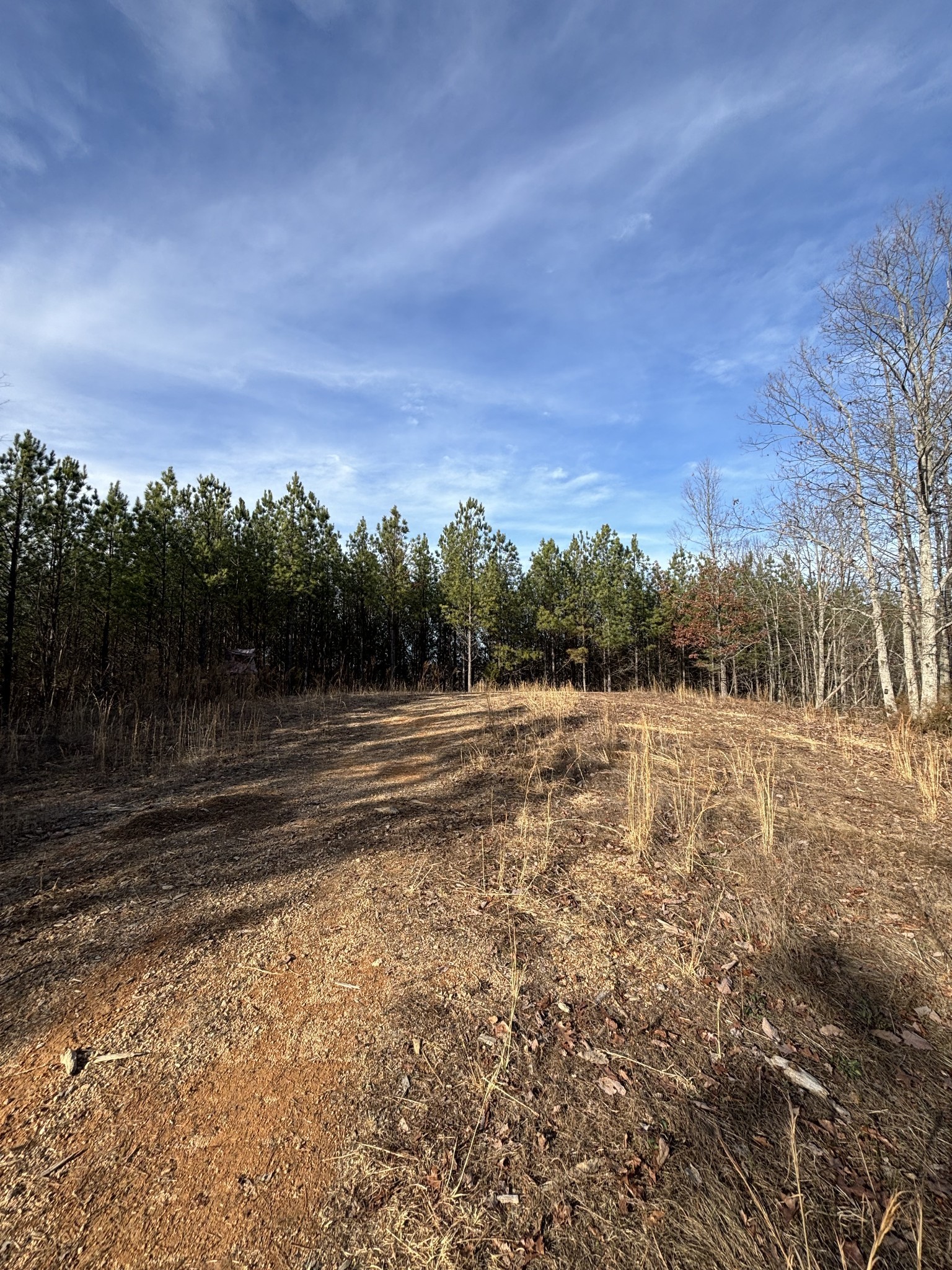4073 Old Hohenwald Rd Property Photo 8