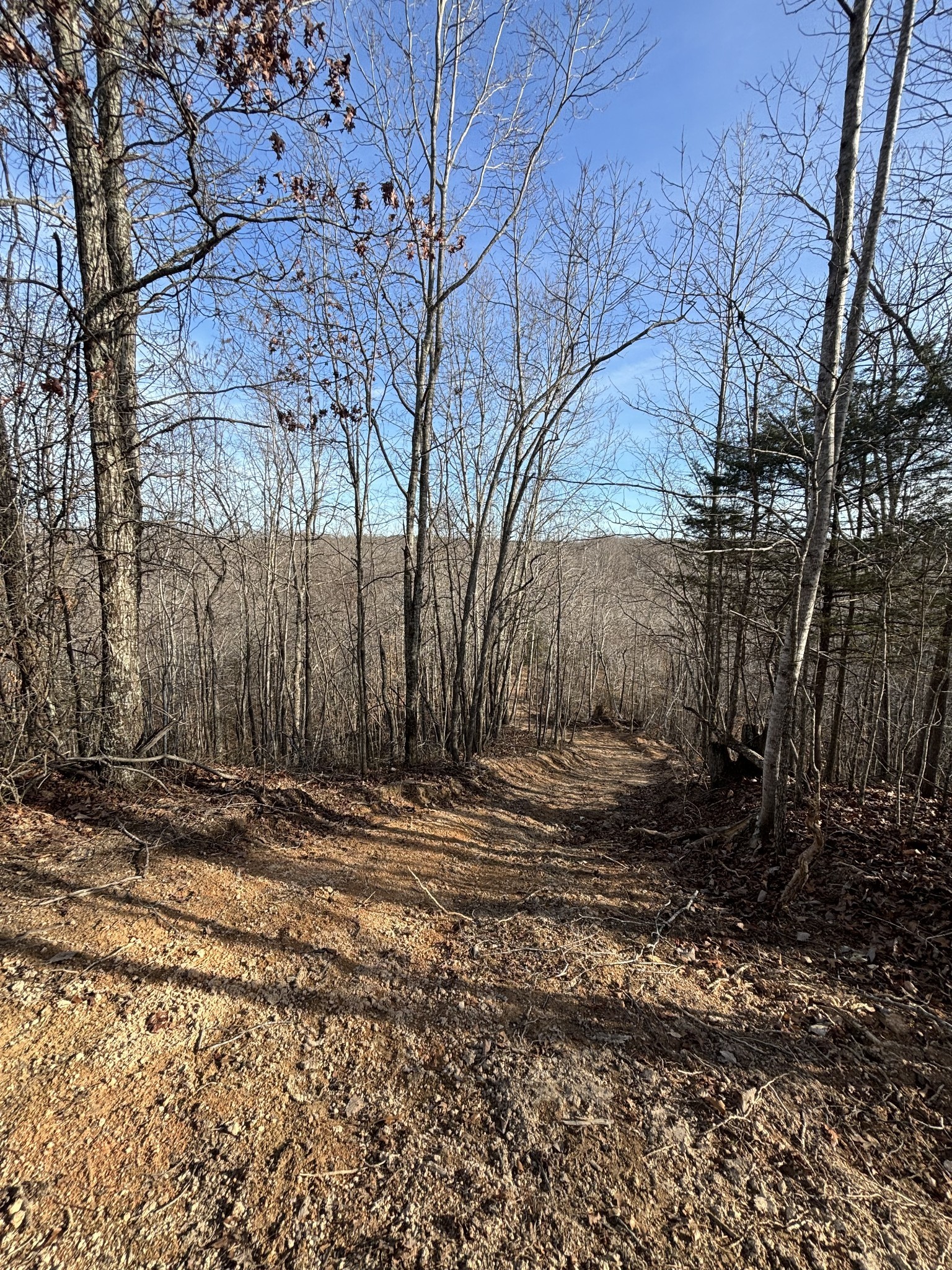 4073 Old Hohenwald Rd Property Photo 9