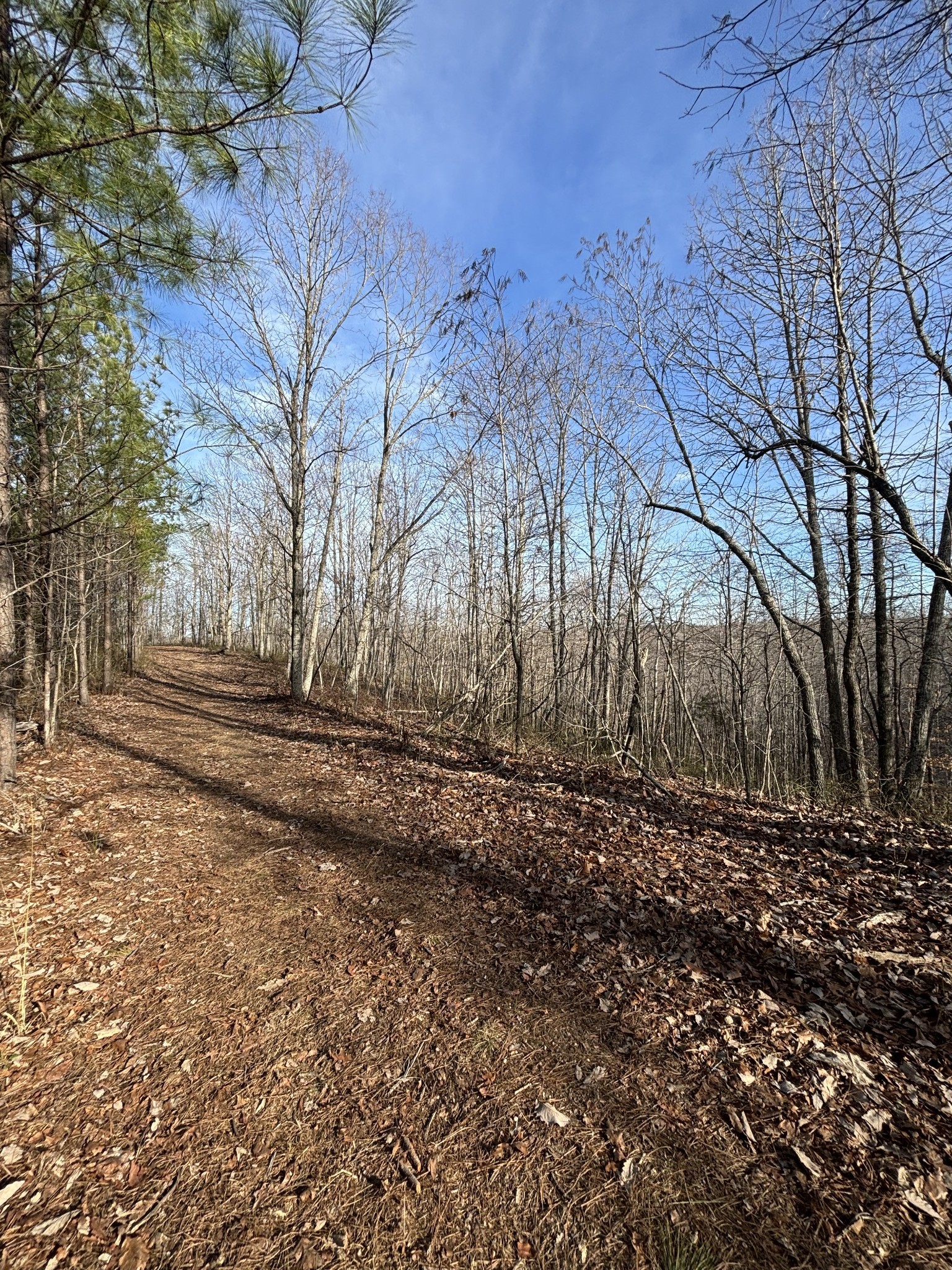 4073 Old Hohenwald Rd Property Photo 11