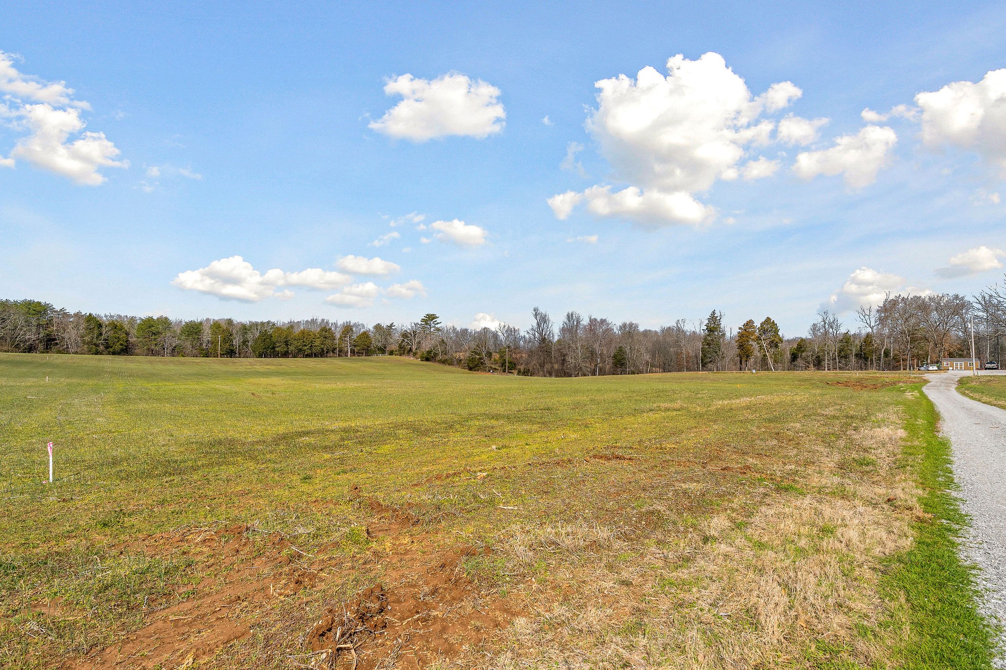 0 Edd Ramsey Rd Property Photo 7