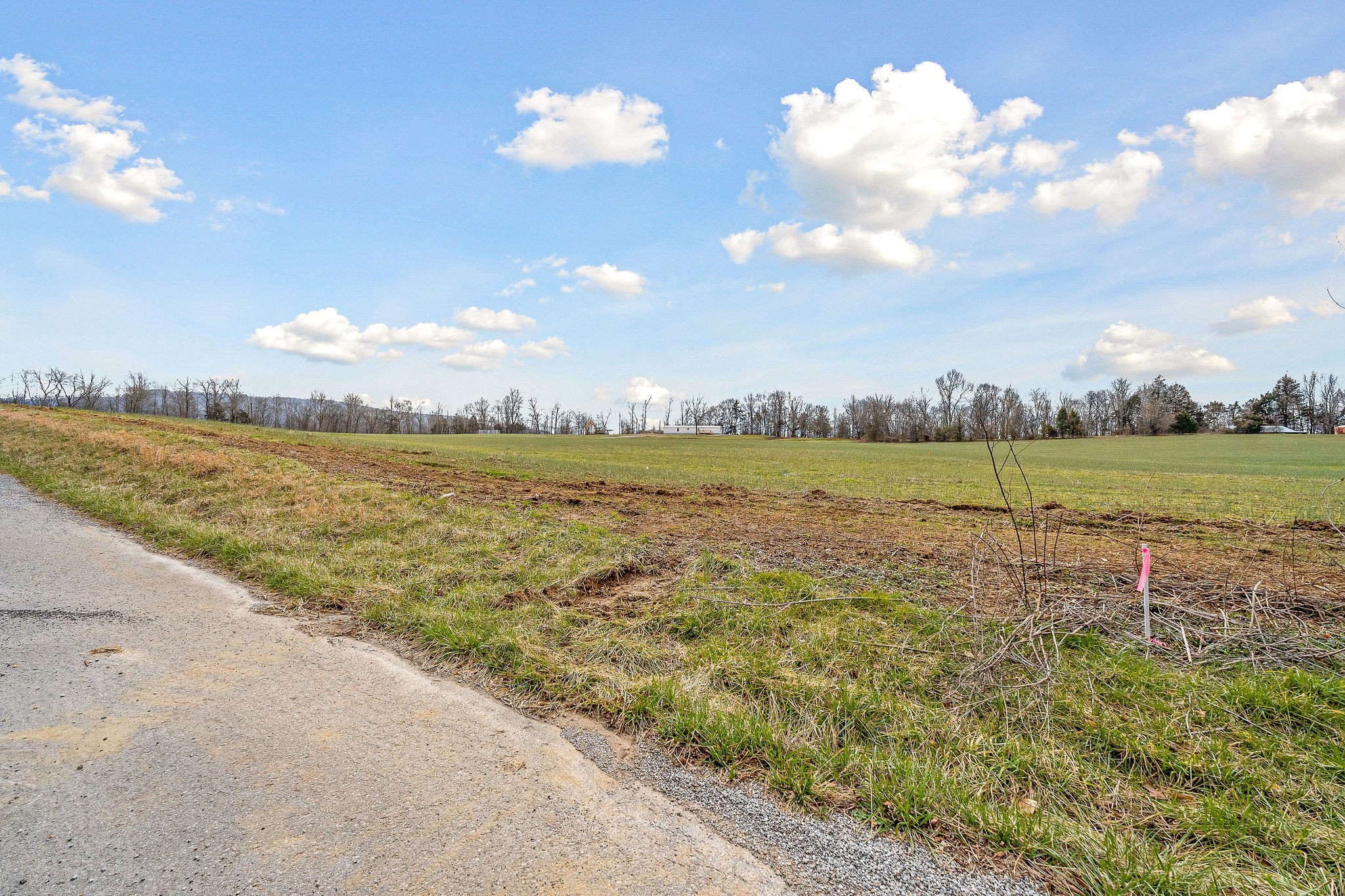 0 Edd Ramsey Rd Property Photo 9