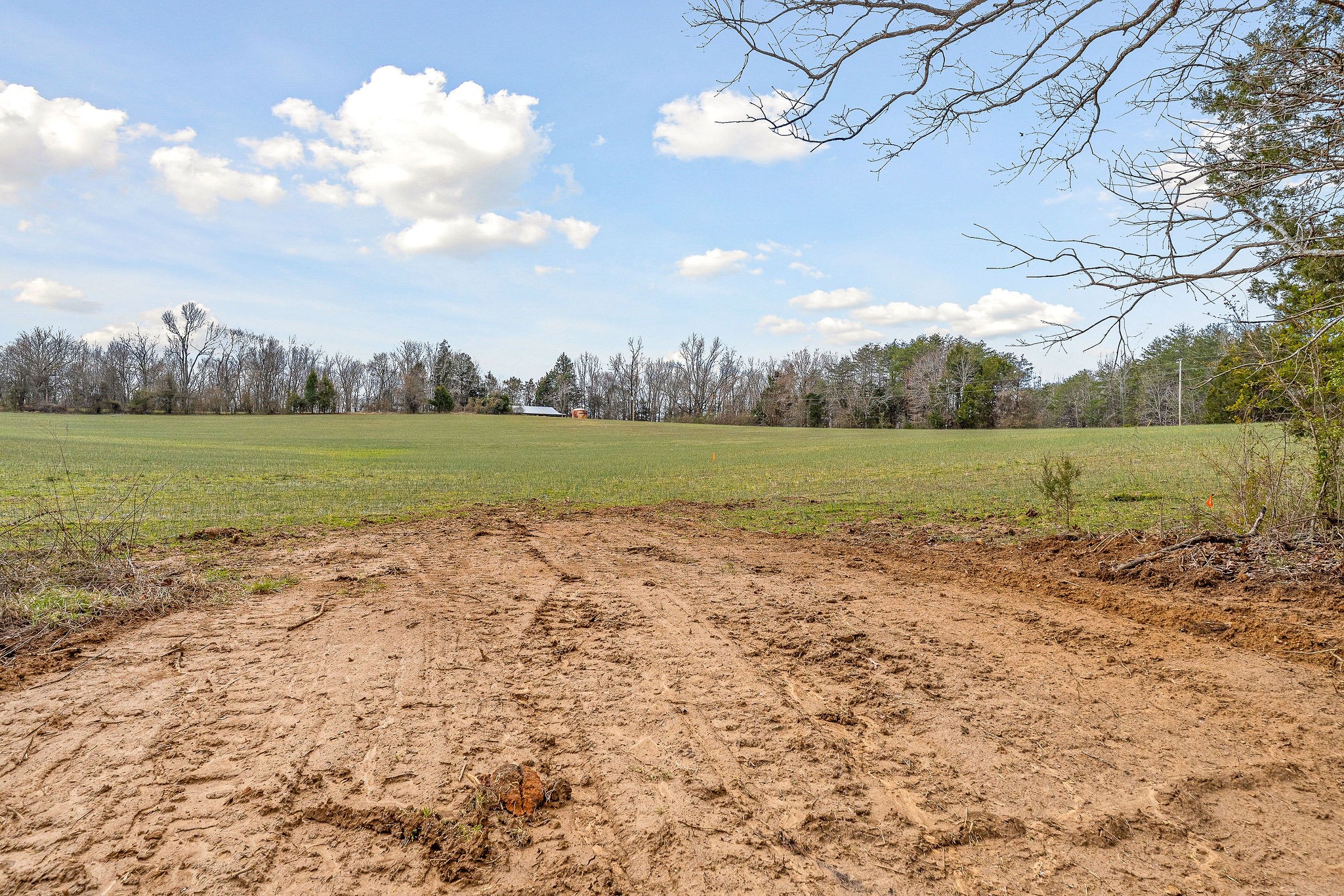 0 Edd Ramsey Rd Property Photo 9