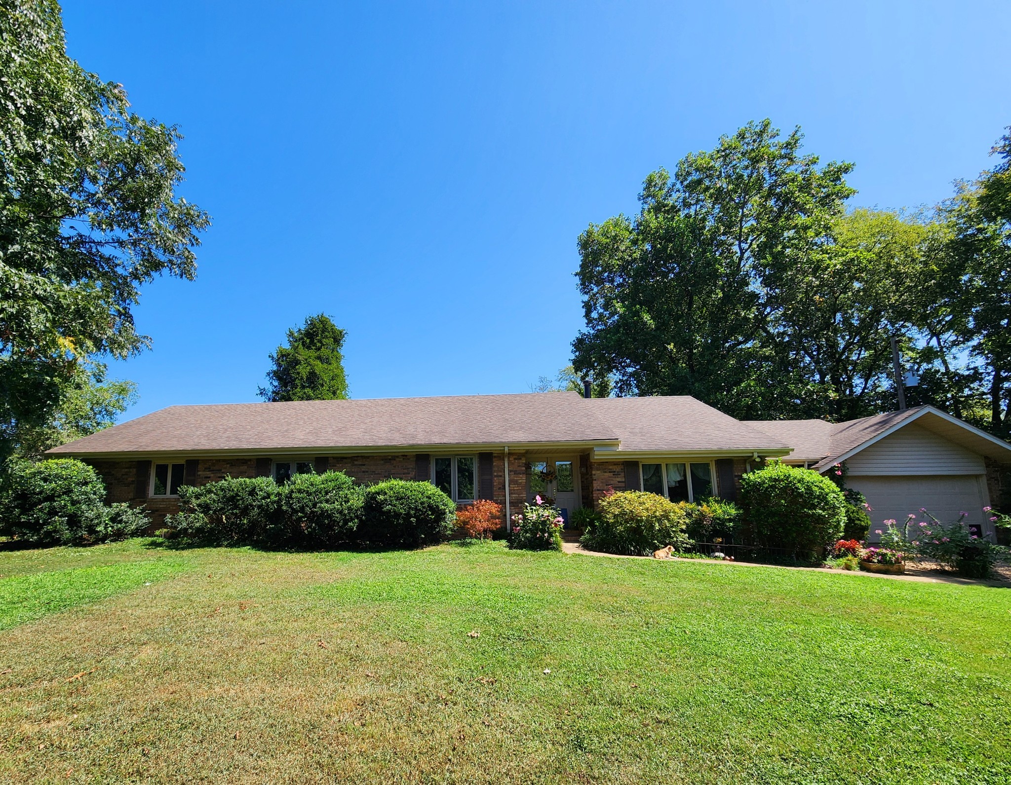 264 Puncheon Camp Rd Property Photo