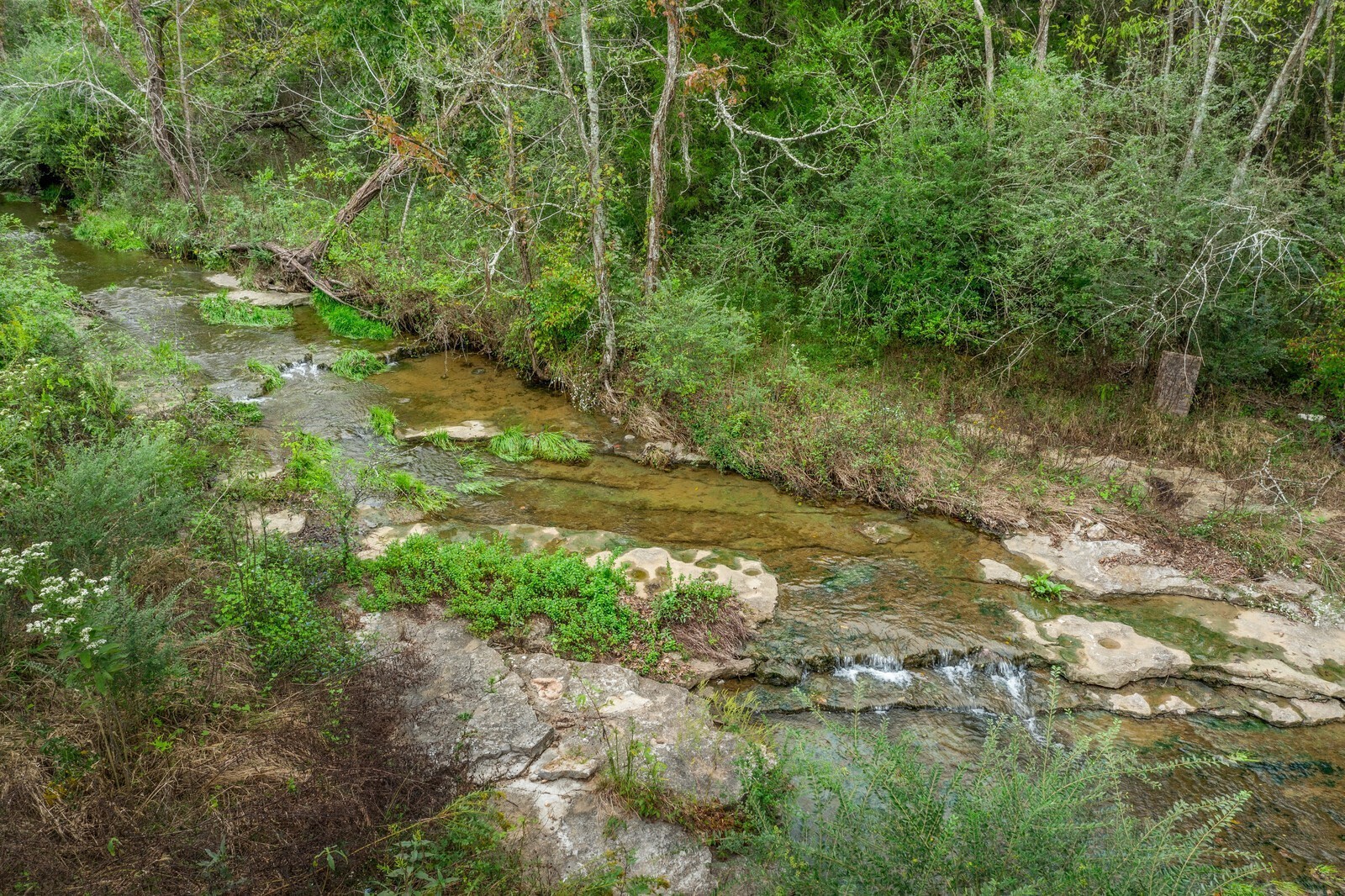 1447 Littleton Ranch Rd Property Photo 44