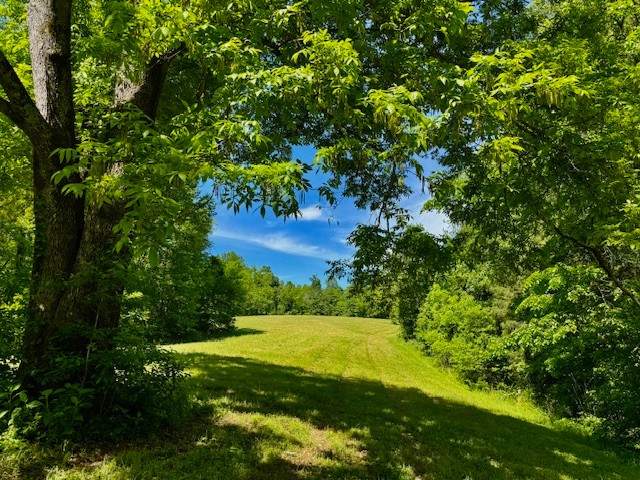 132 Normandy Tullahoma Rd Property Photo 4