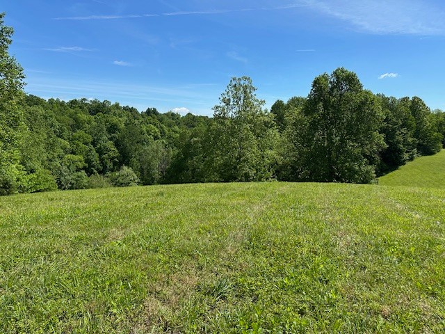 132 Normandy Tullahoma Rd Property Photo 9