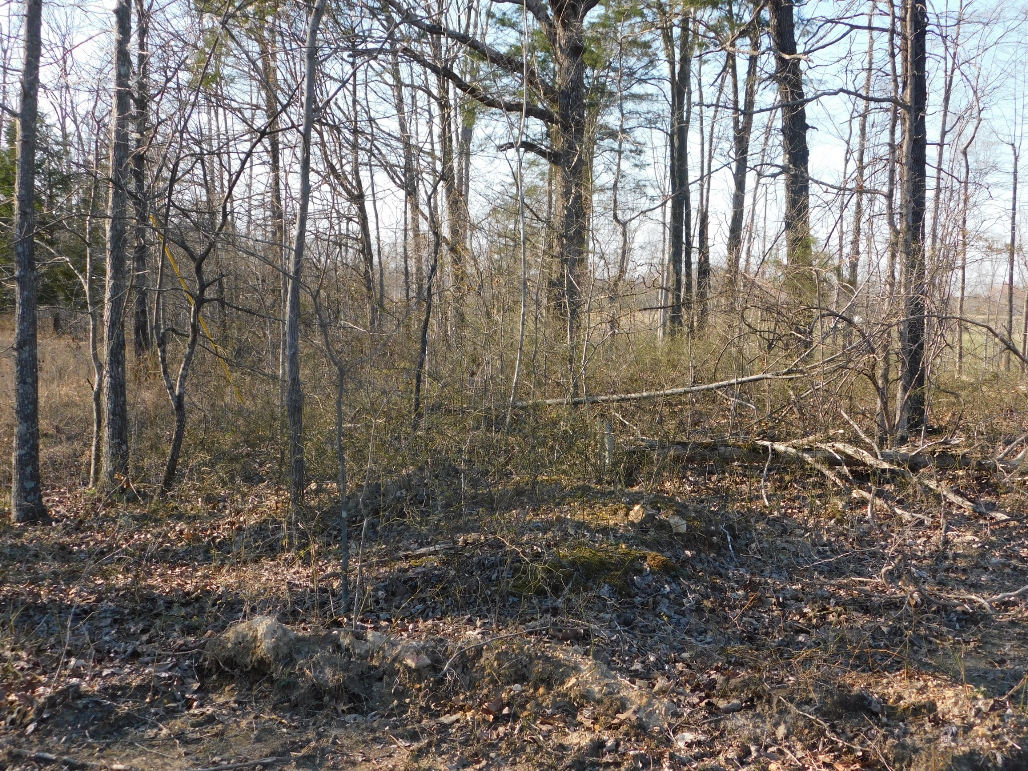 0 Lucas Ridge Road Property Photo 14