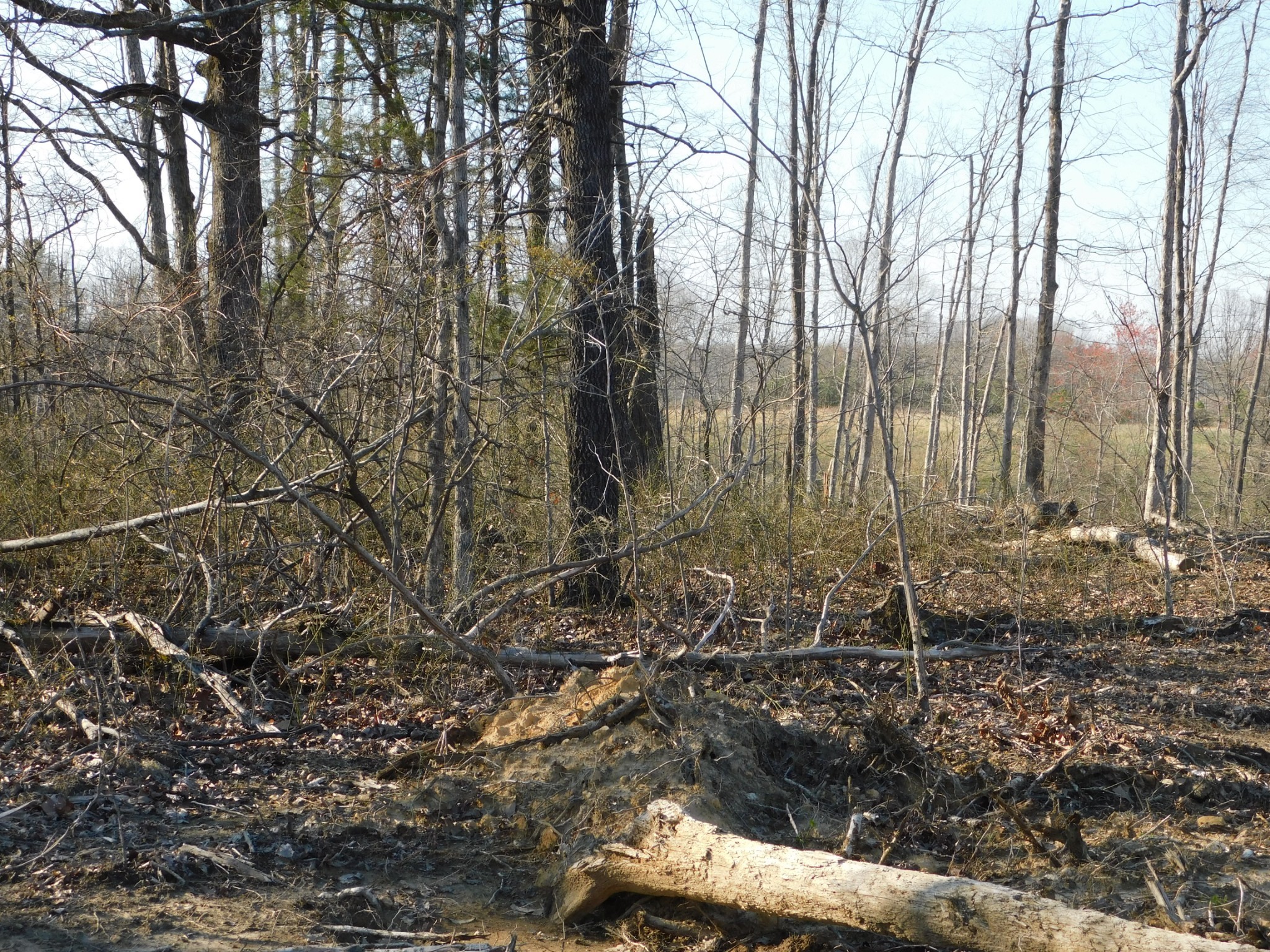 0 Lucas Ridge Road Property Photo 15