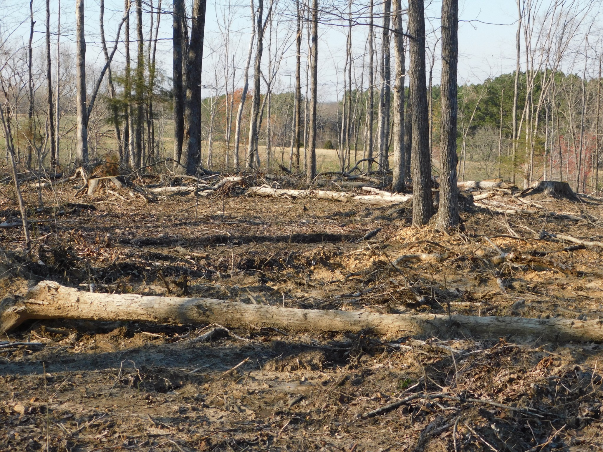 0 Lucas Ridge Road Property Photo 17
