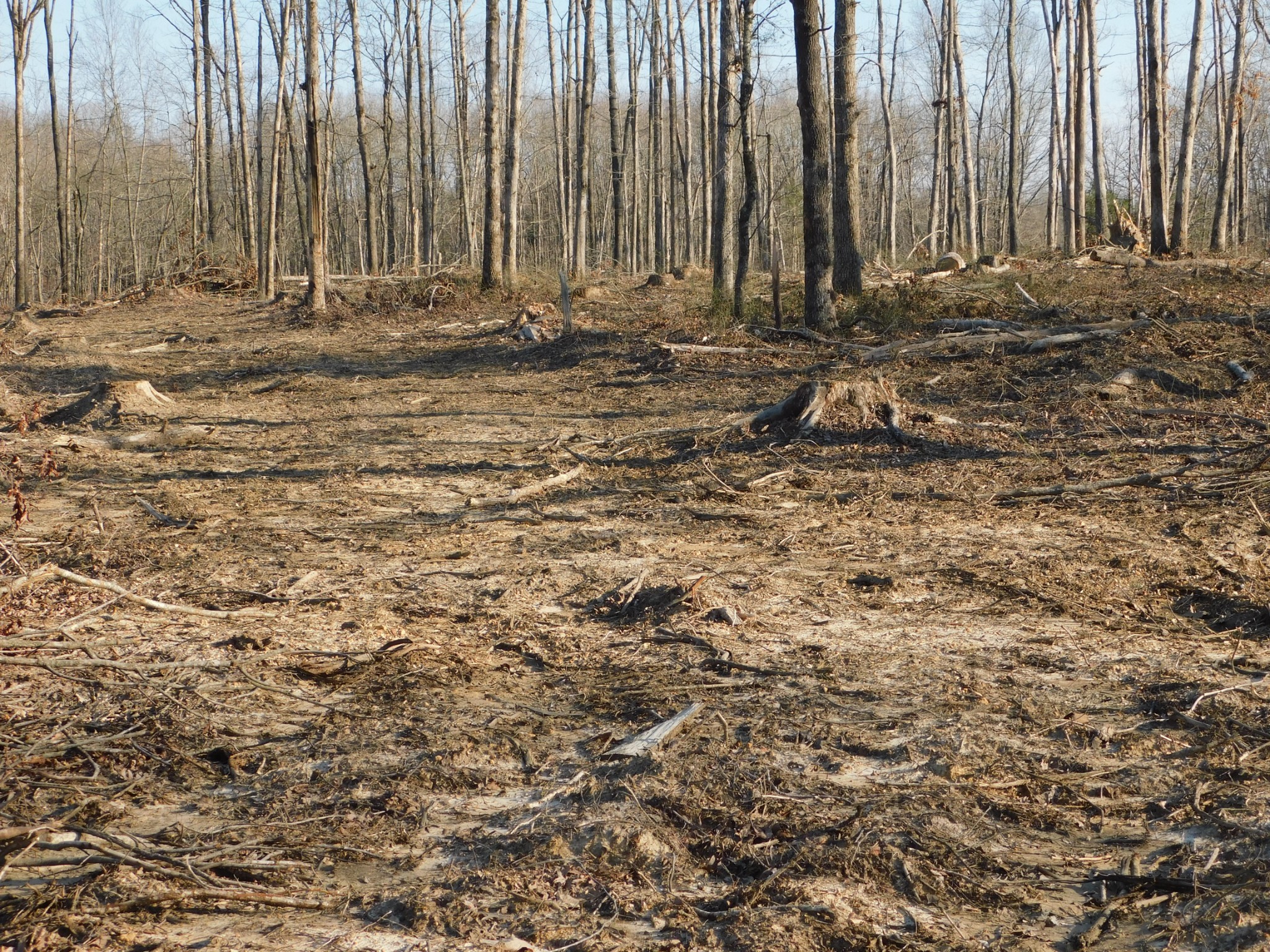 0 Lucas Ridge Road Property Photo 18