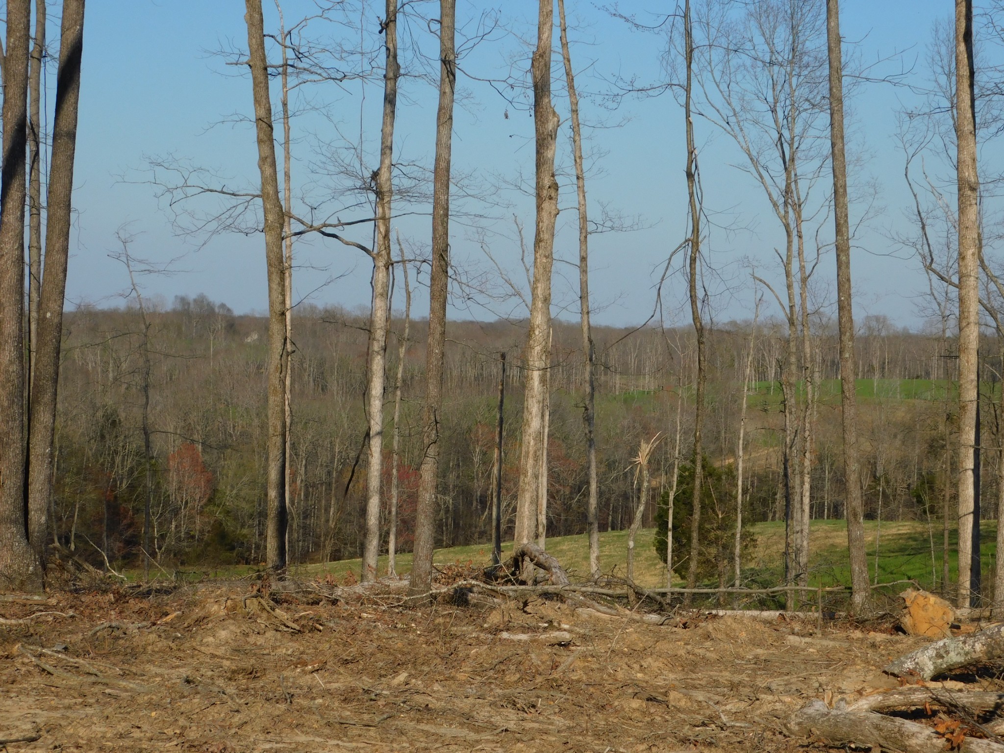 0 Lucas Ridge Road Property Photo 19