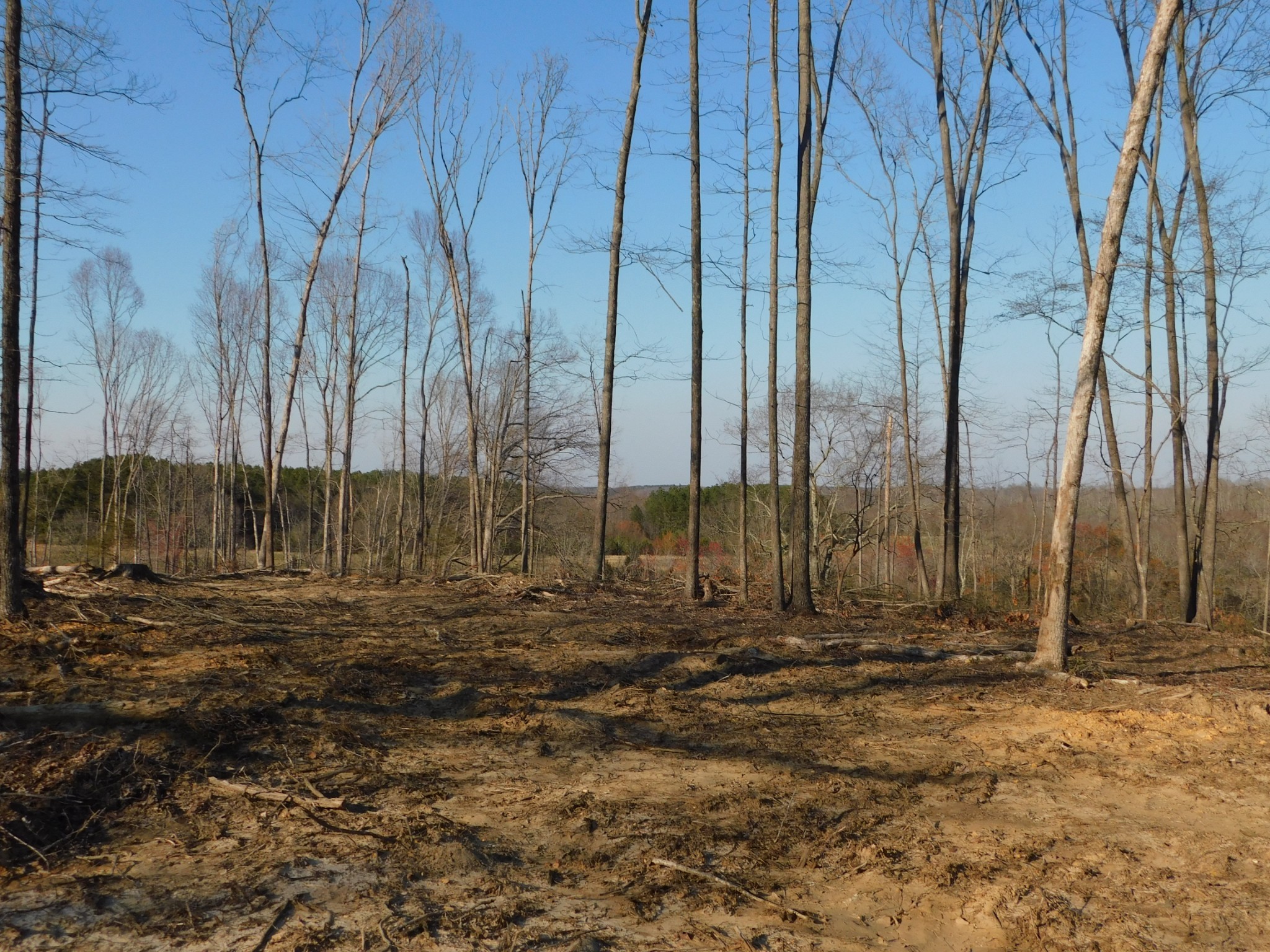 0 Lucas Ridge Road Property Photo 20