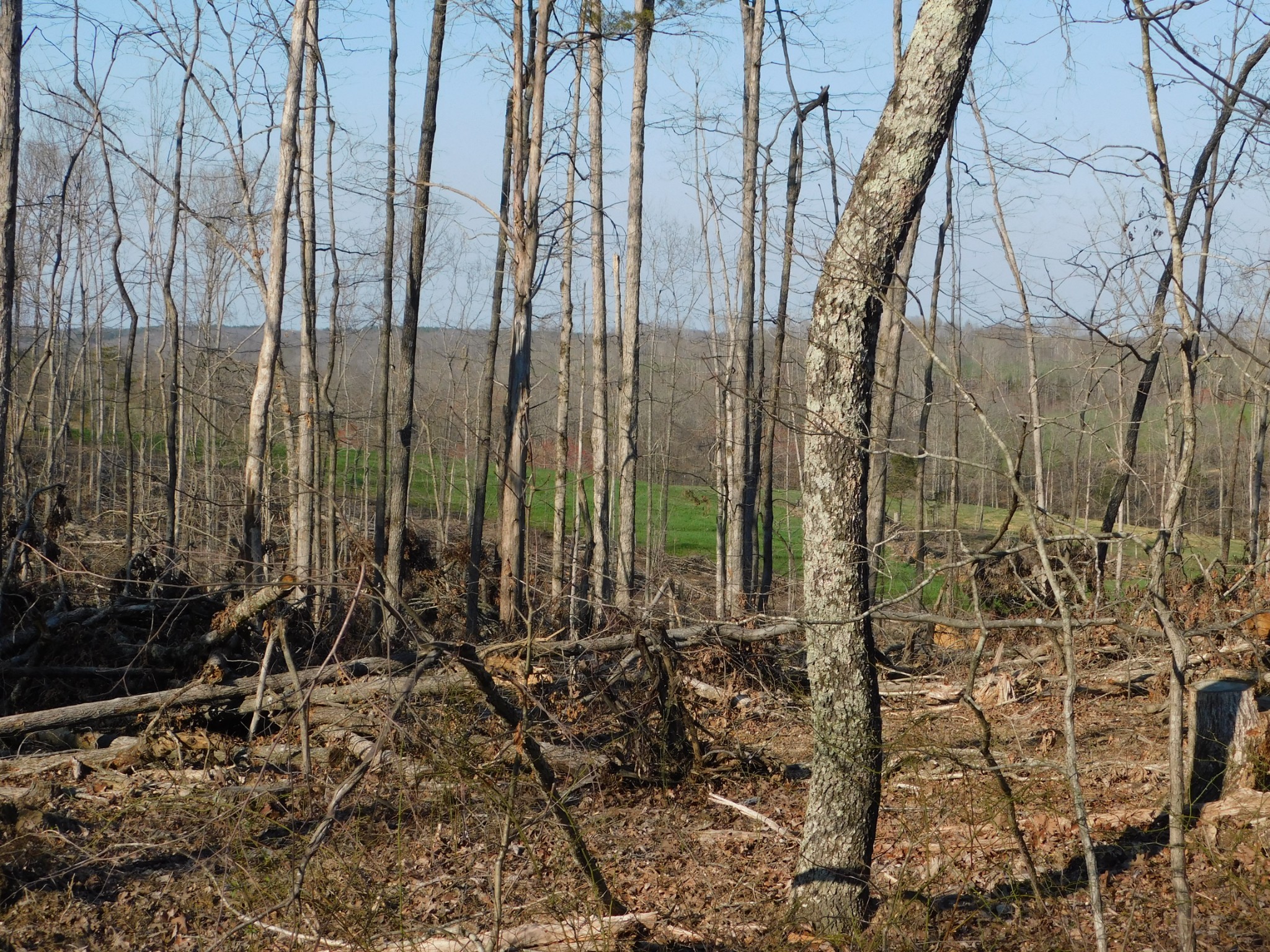 0 Lucas Ridge Road Property Photo 21
