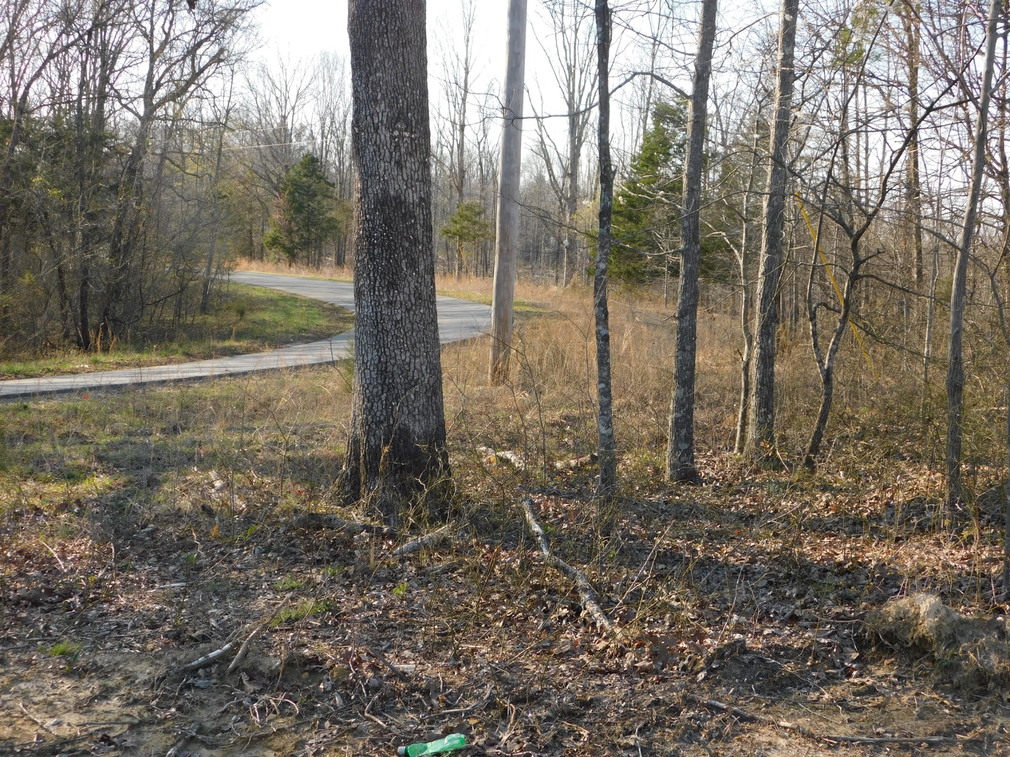 0 Lucas Ridge Road Property Photo 23