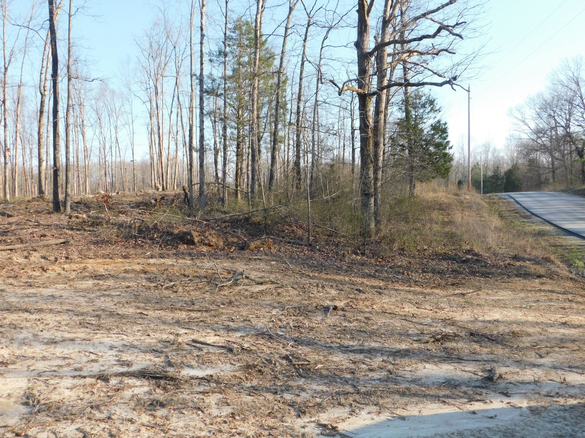 0 Lucas Ridge Road Property Photo 33