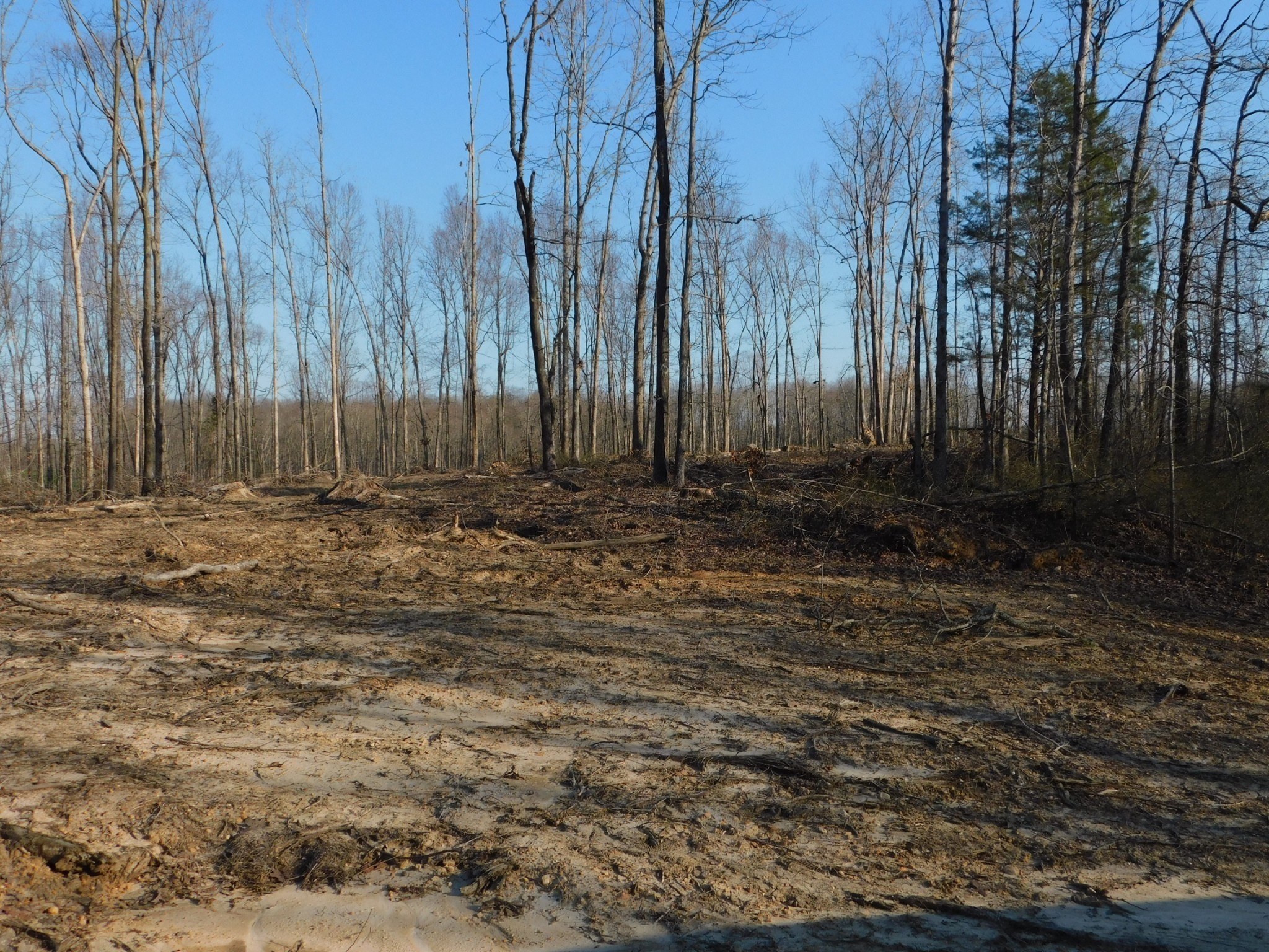 0 Lucas Ridge Road Property Photo 34