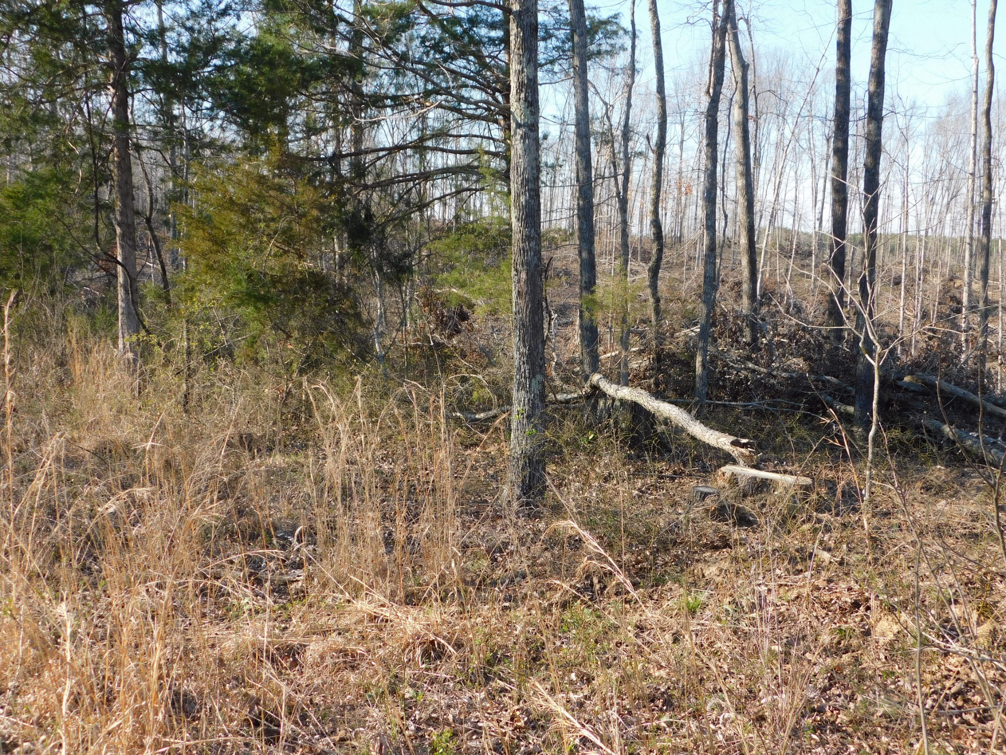 0 Lucas Ridge Road Property Photo 35