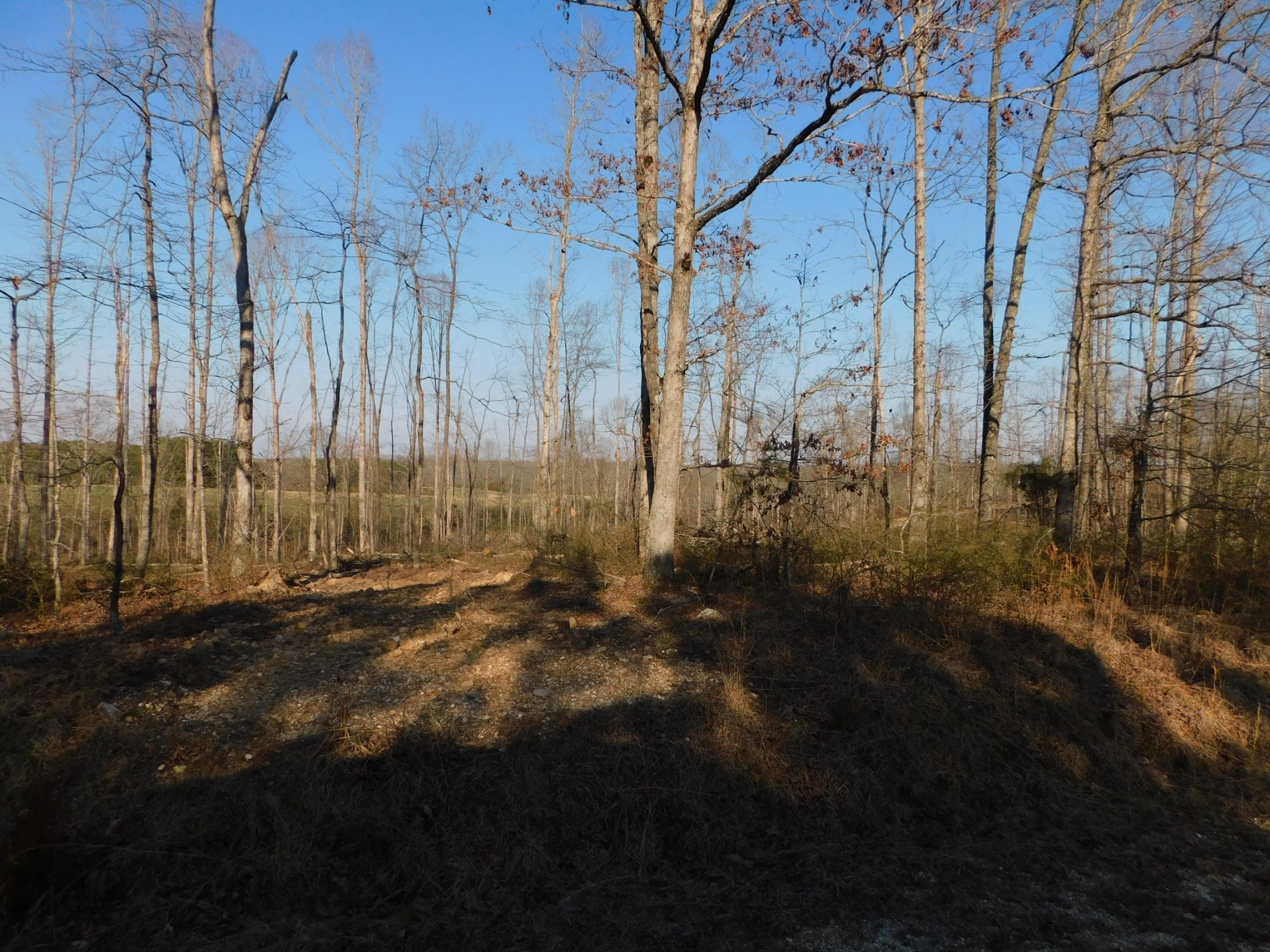 0 Lucas Ridge Road Property Photo 42