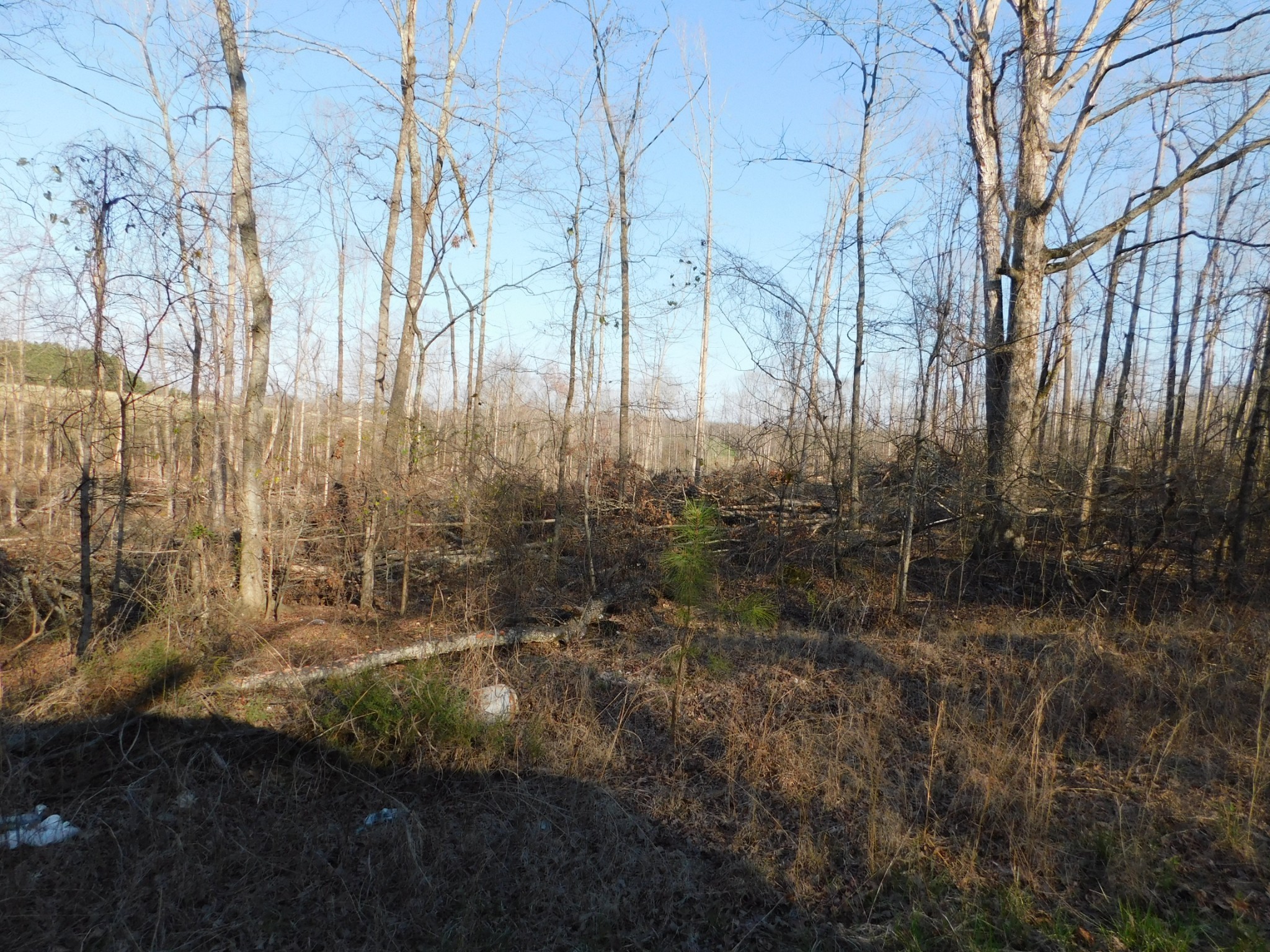 0 Lucas Ridge Road Property Photo 43