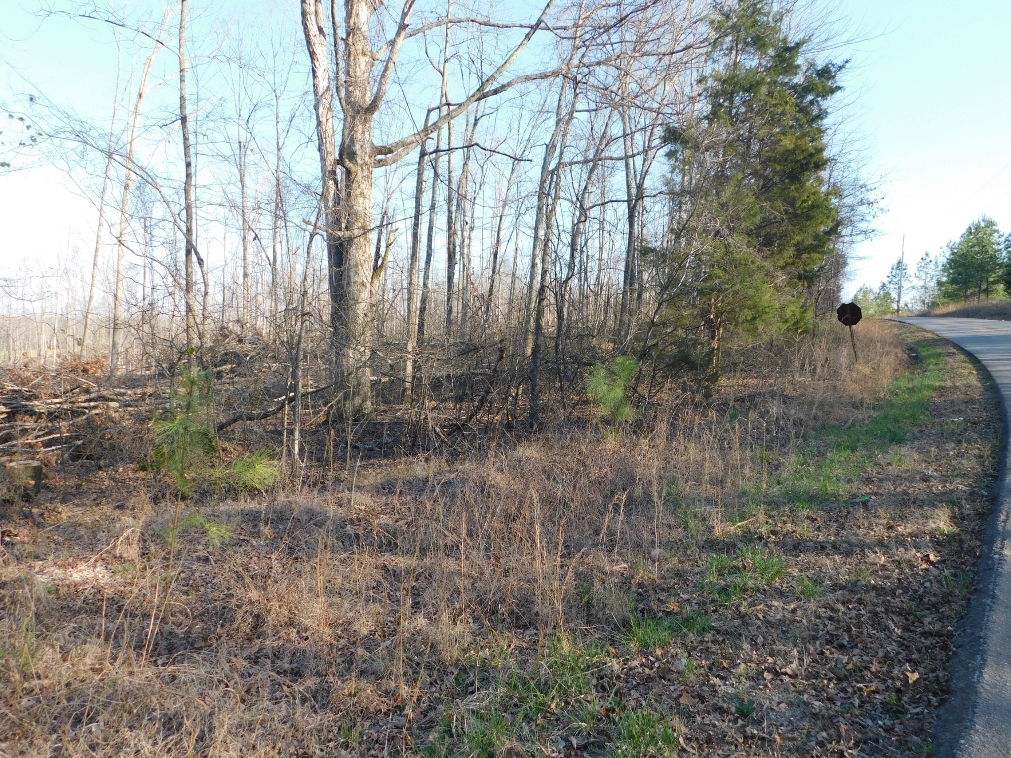 0 Lucas Ridge Road Property Photo 44