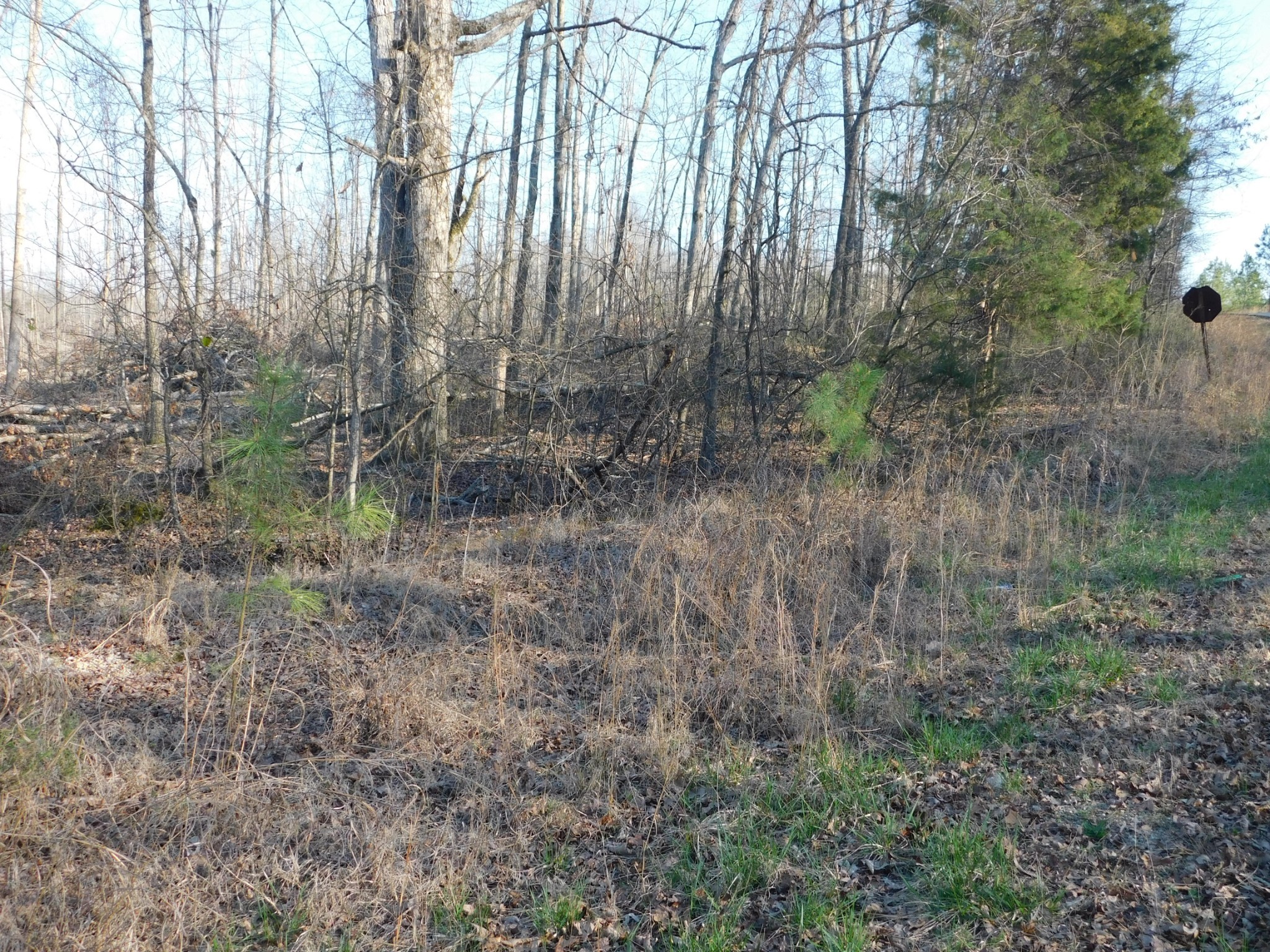 0 Lucas Ridge Road Property Photo 46