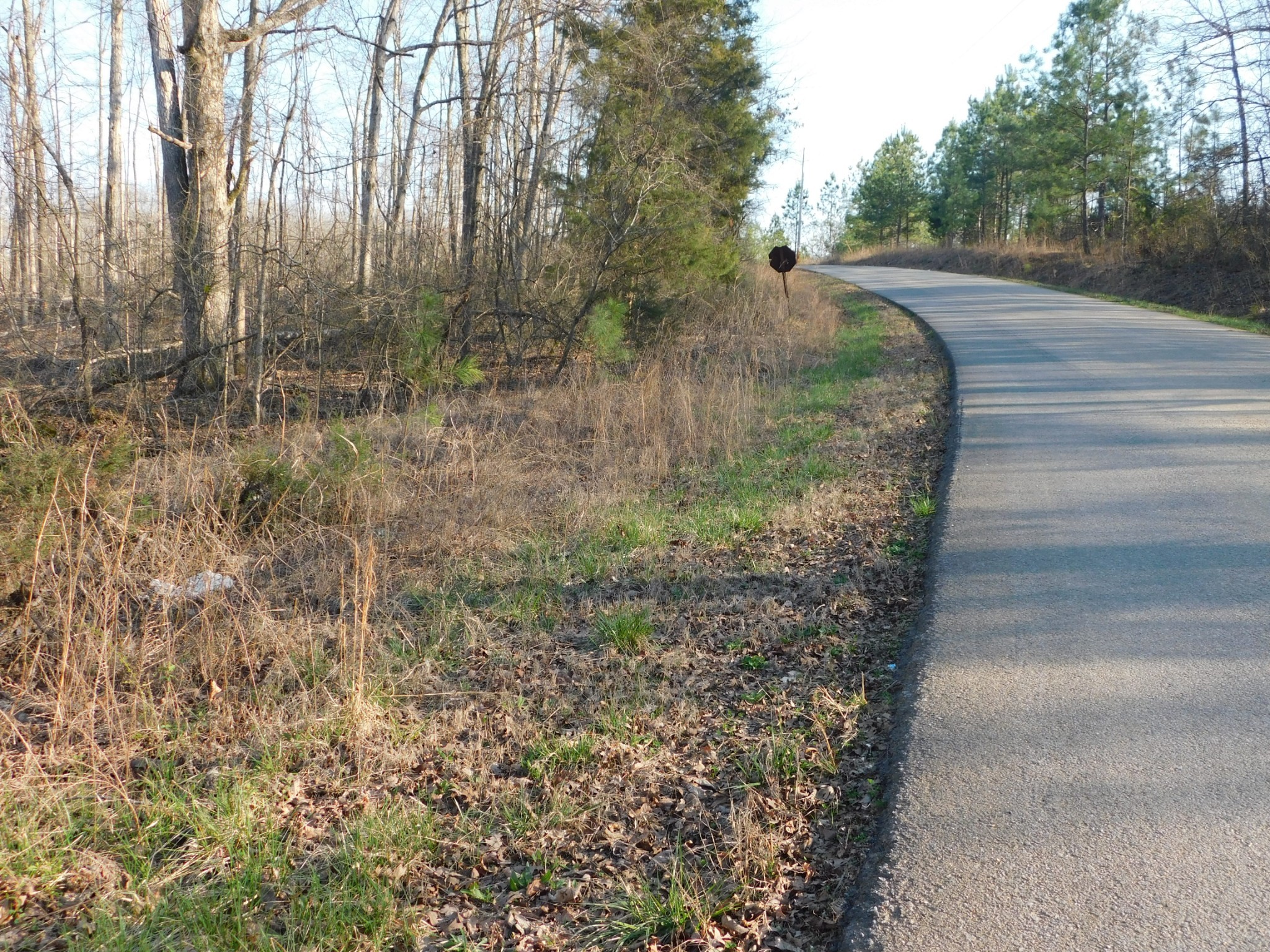 0 Lucas Ridge Road Property Photo 48