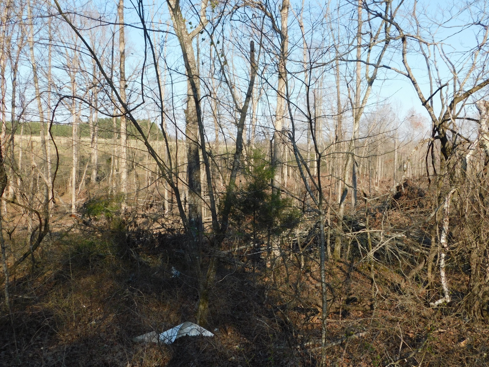 0 Lucas Ridge Road Property Photo 49