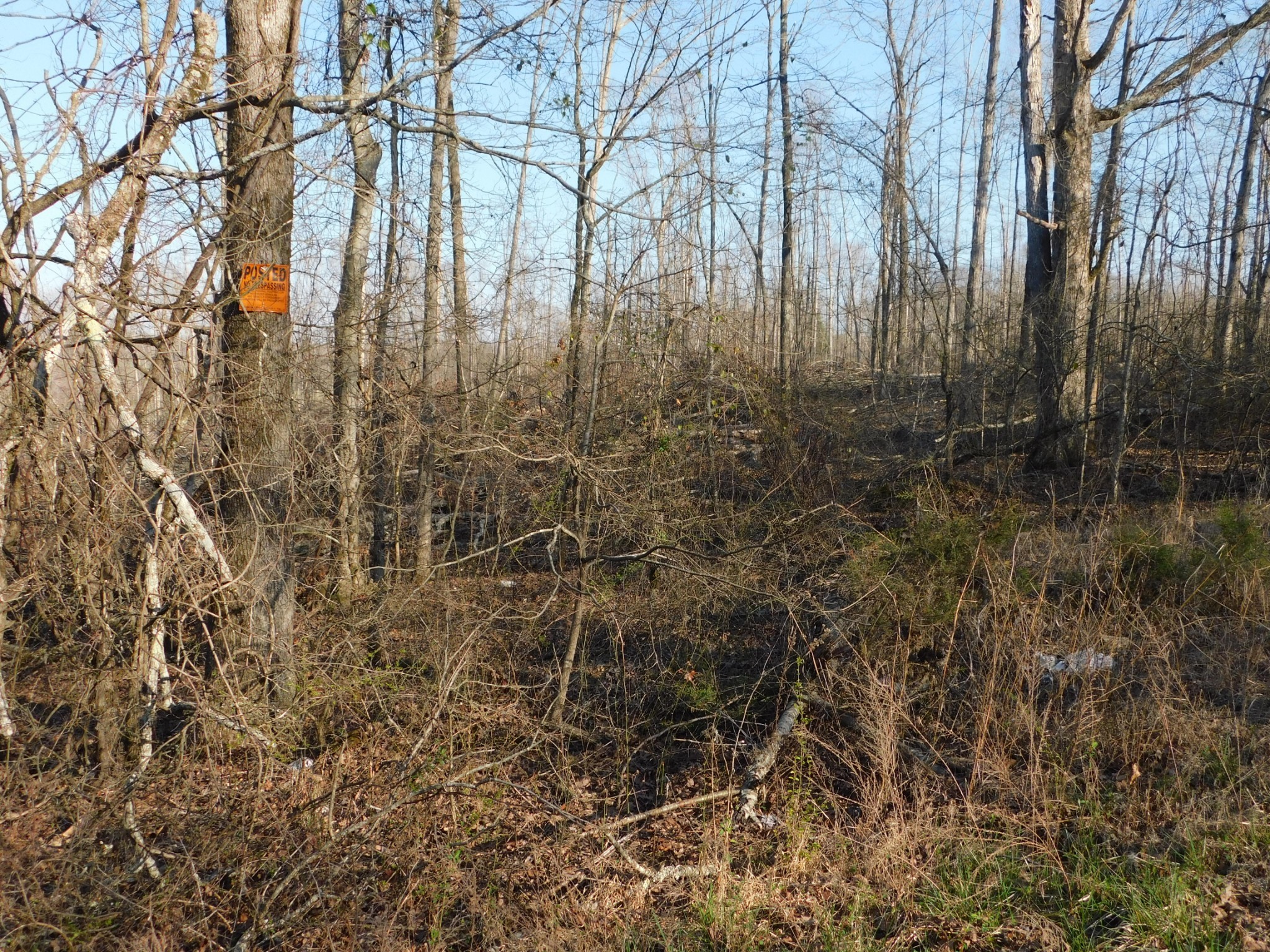 0 Lucas Ridge Road Property Photo 50