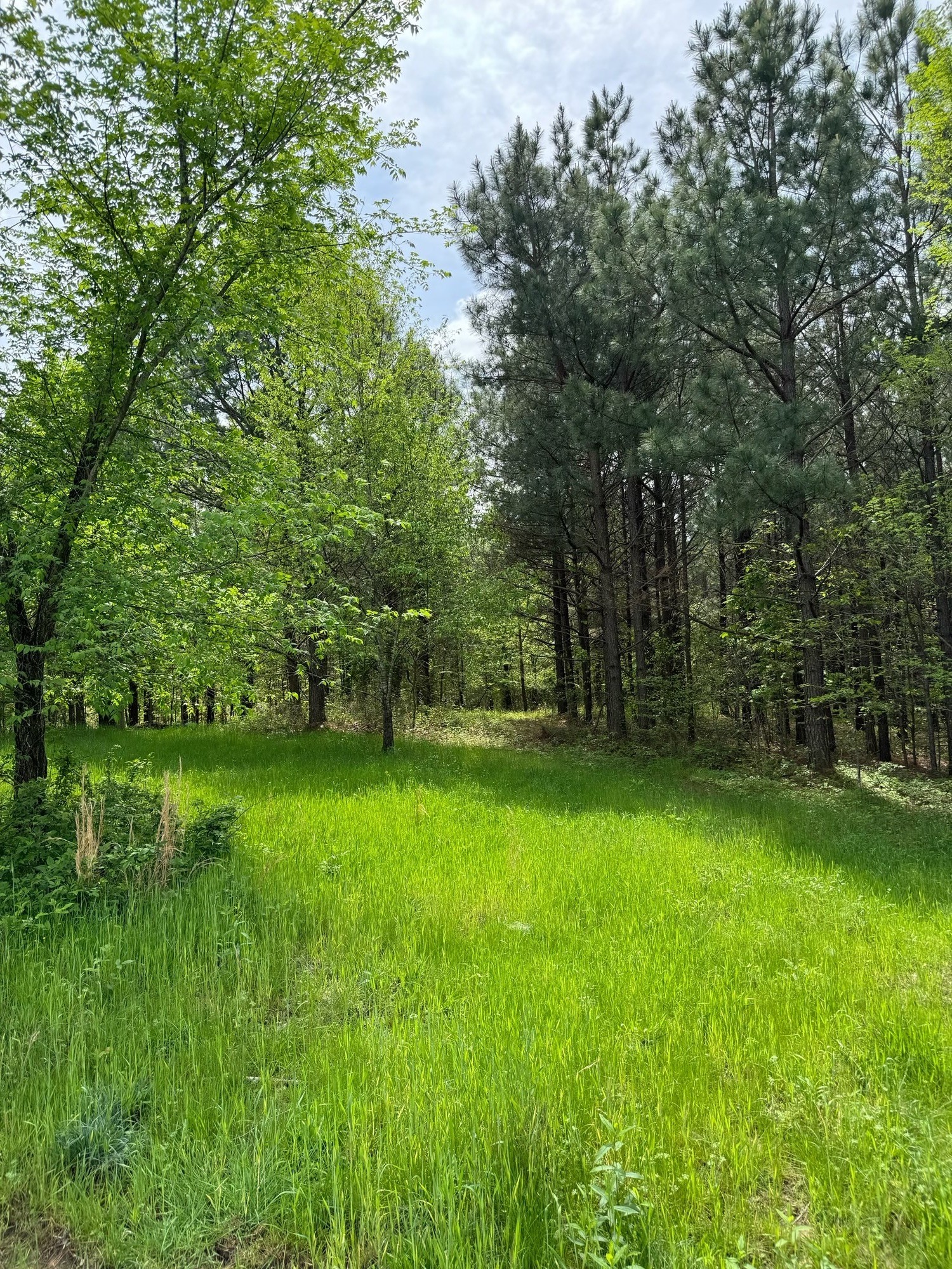 0 Saddleback Drive Property Photo 1