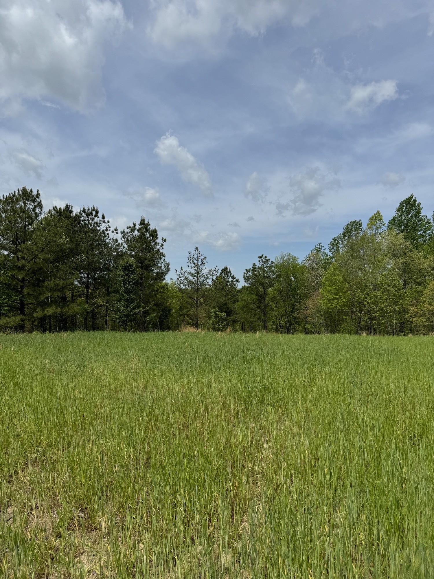 0 Saddleback Drive Property Photo 3