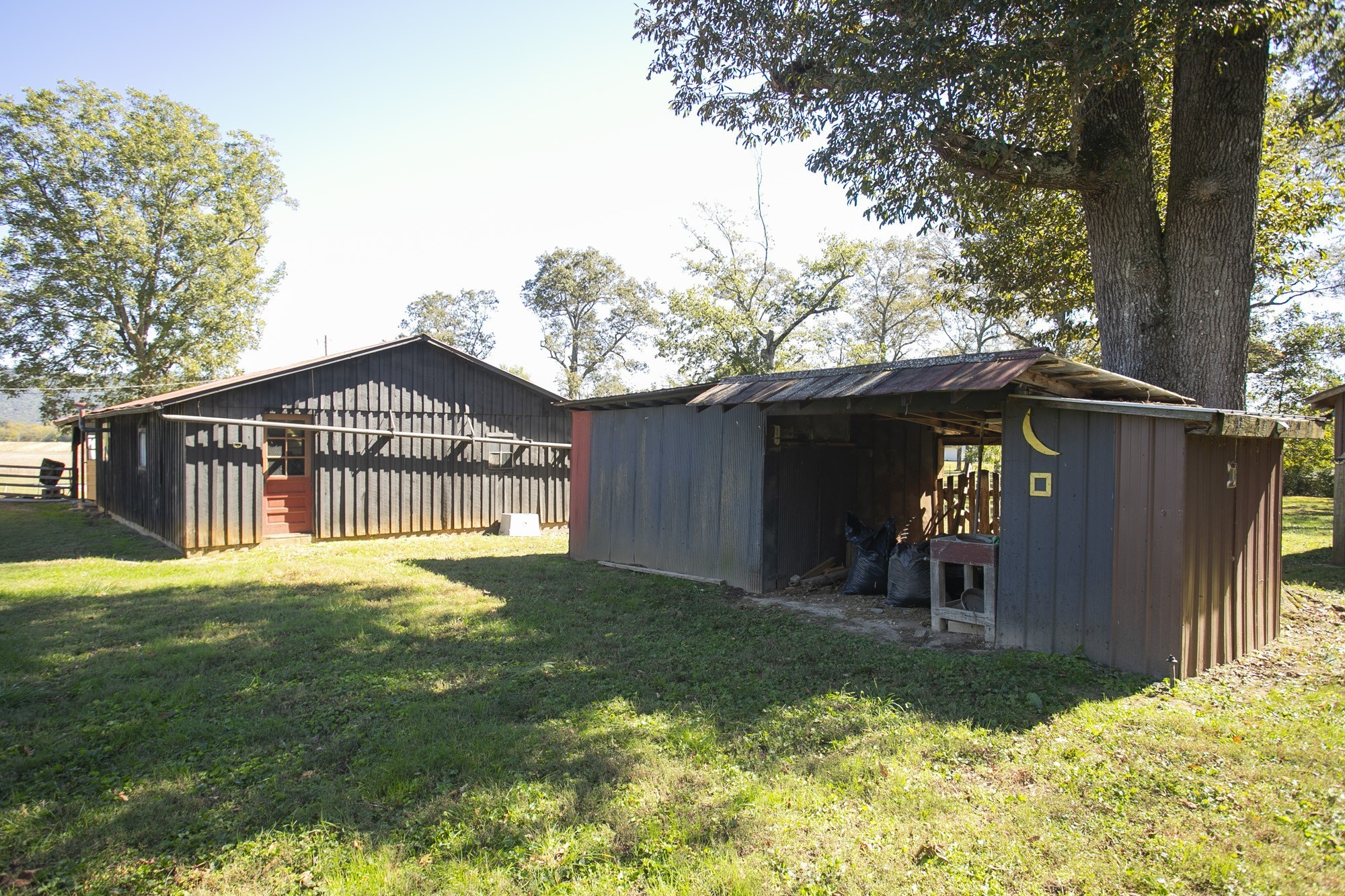 118 Roscoe Lynn Rd Property Photo 37