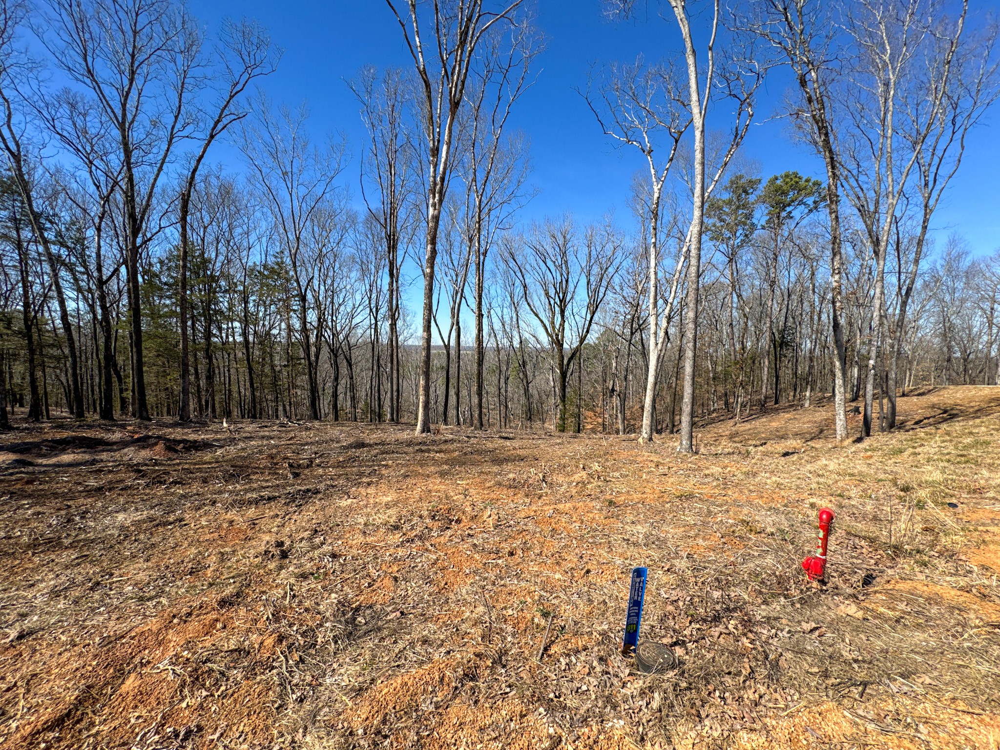 0 Hwy 128 Property Photo 41