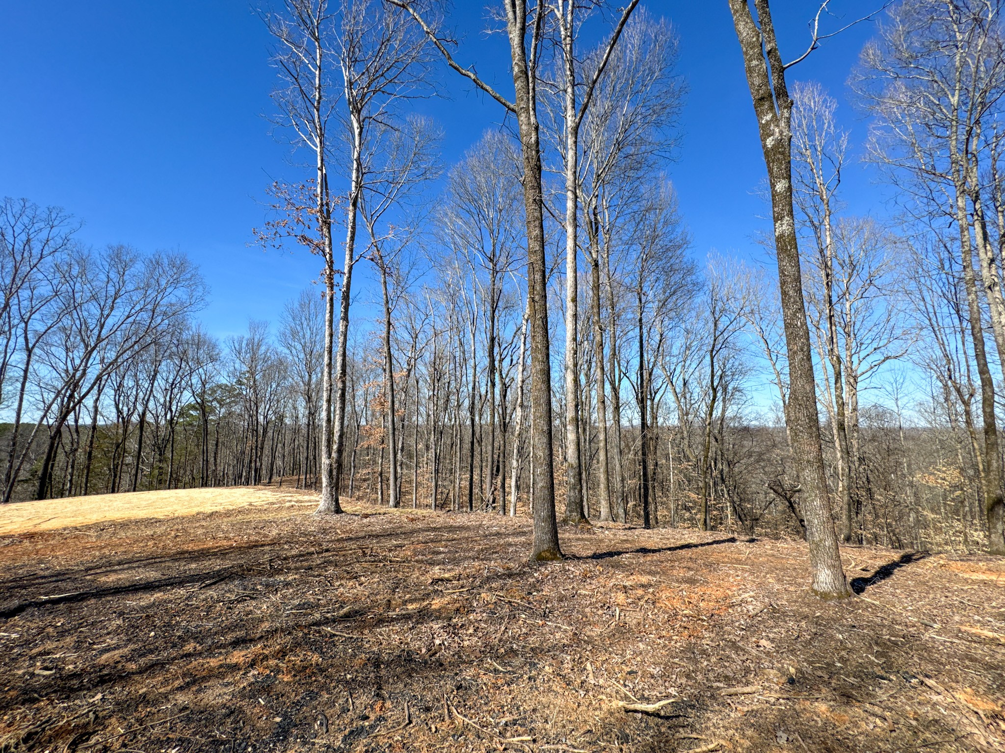 0 Hwy 128 Property Photo 61