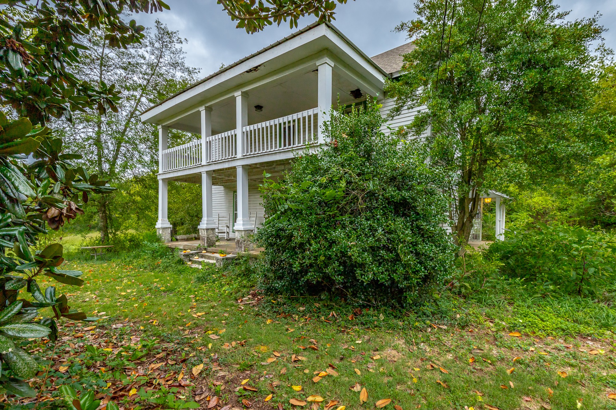 2419 Maple St Property Photo