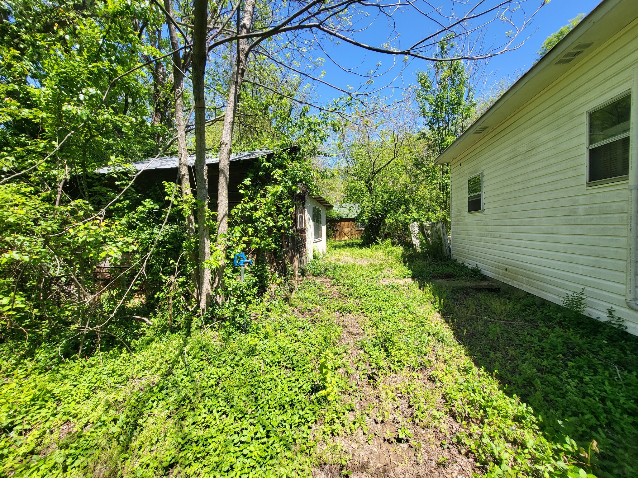 2419 Maple St Property Photo 11